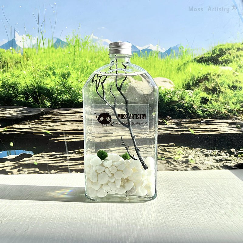 Marimo Moss Ball Aquarium Designer 8"x4" Mini Aquarium Glass TerrariumSpecification:
8"x4" Glass Terrarium * 1
1-2 cm Marimo Live Moss Ball * 2
White Pebbles Bag * 1
Name Card and wood stander * 1
Stick * 1
$3.99 Smaller Tweezer * 1
[product_description]