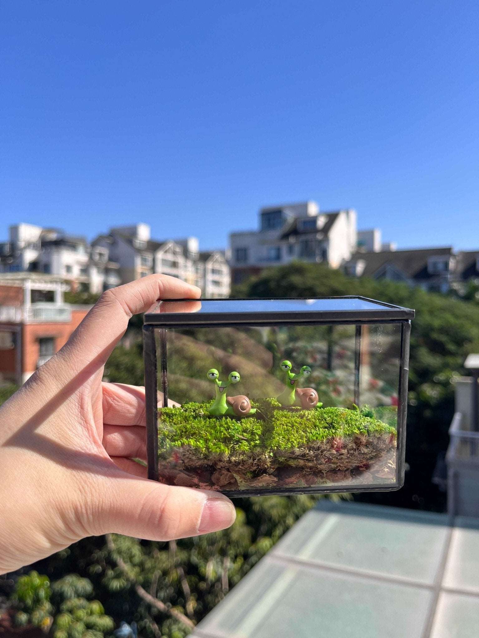 Smile Snail Desktop Decoration Micro Landscape Lawn Handmade Preserved Moss Art