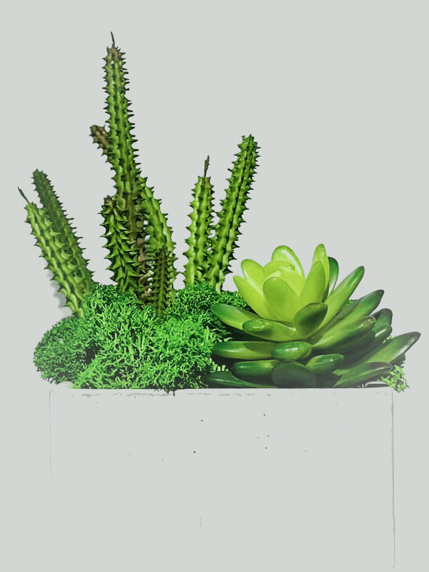 Contemporary Cement Planter with Preserved Moss and Faux SucculentsRevitalize your space with our stylish and low-maintenance plant arrangement. This chic piece features a unique combination of lush preserved moss and lifelike faux 