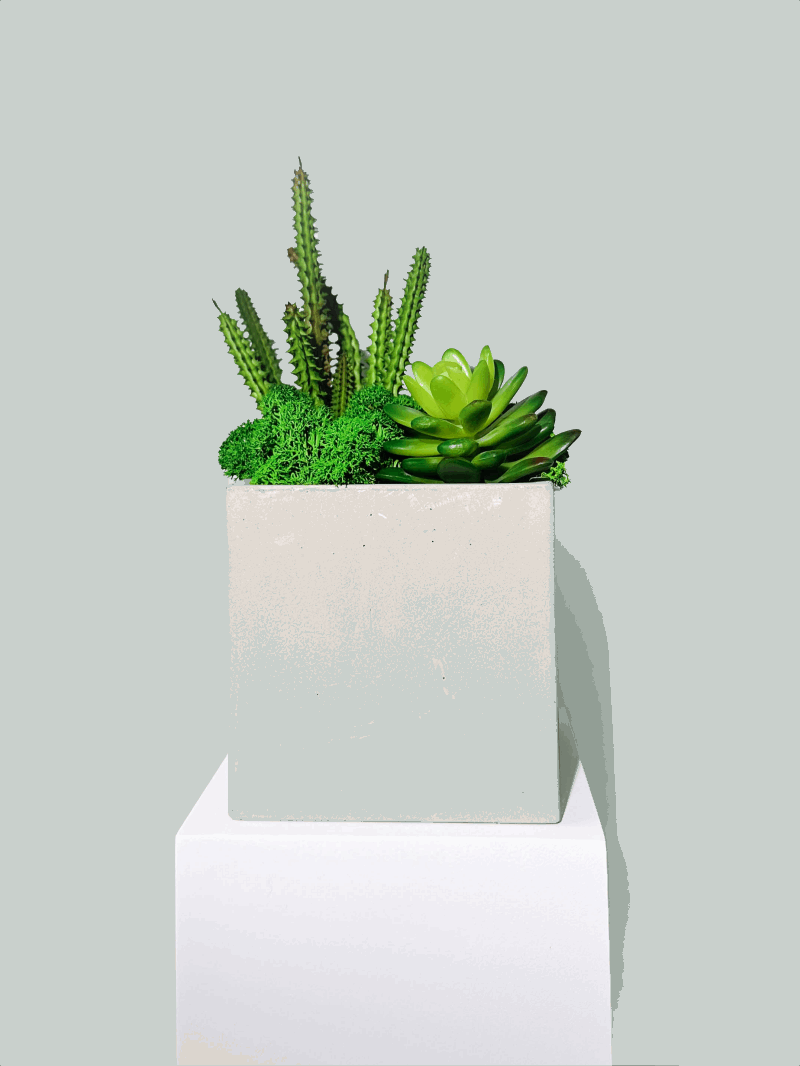 Contemporary Cement Planter with Preserved Moss and Faux SucculentsRevitalize your space with our stylish and low-maintenance plant arrangement. This chic piece features a unique combination of lush preserved moss and lifelike faux 