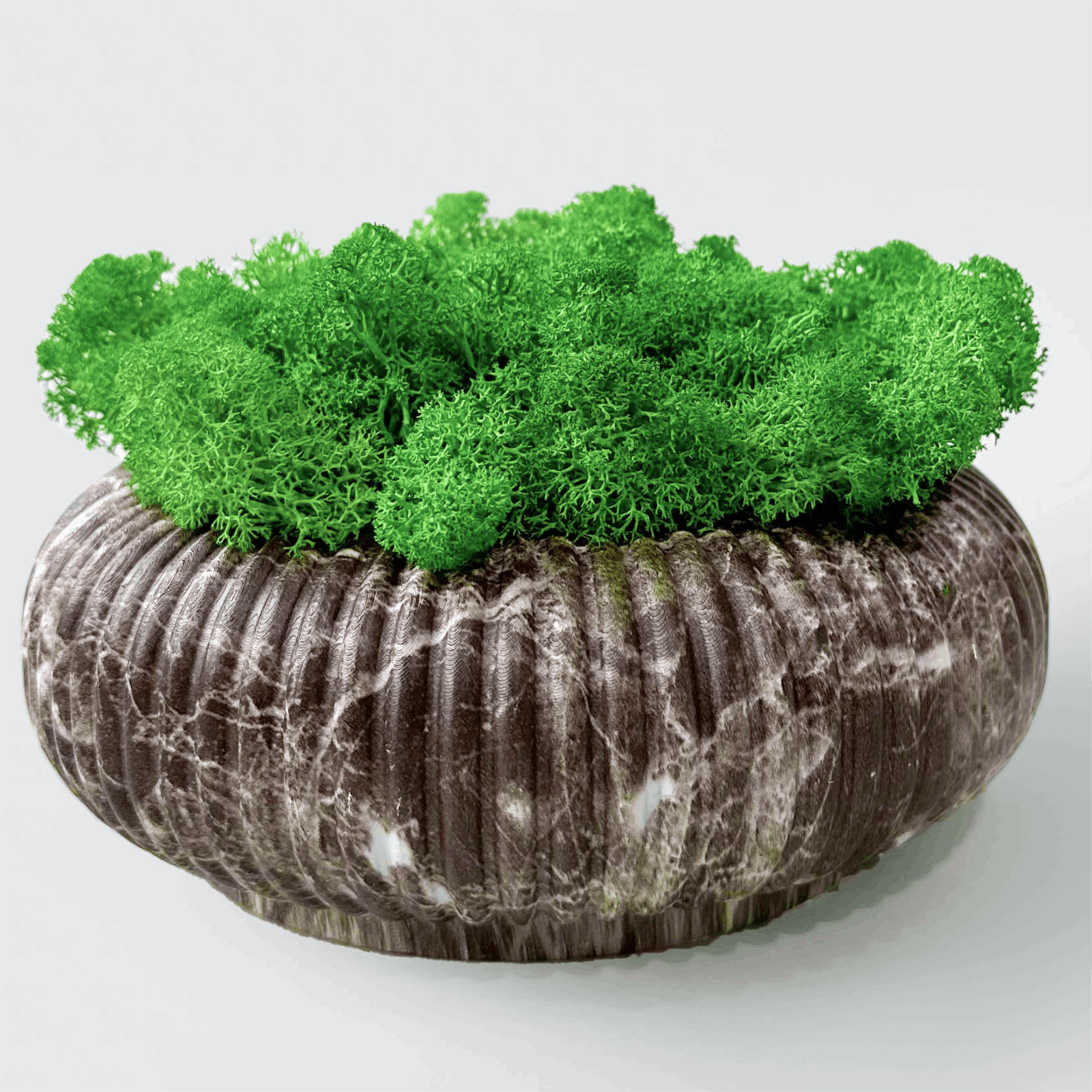 Marble-Pattern Circular Planter with Preserved Moss –  Moss Bowl Desktop Round Bonsai