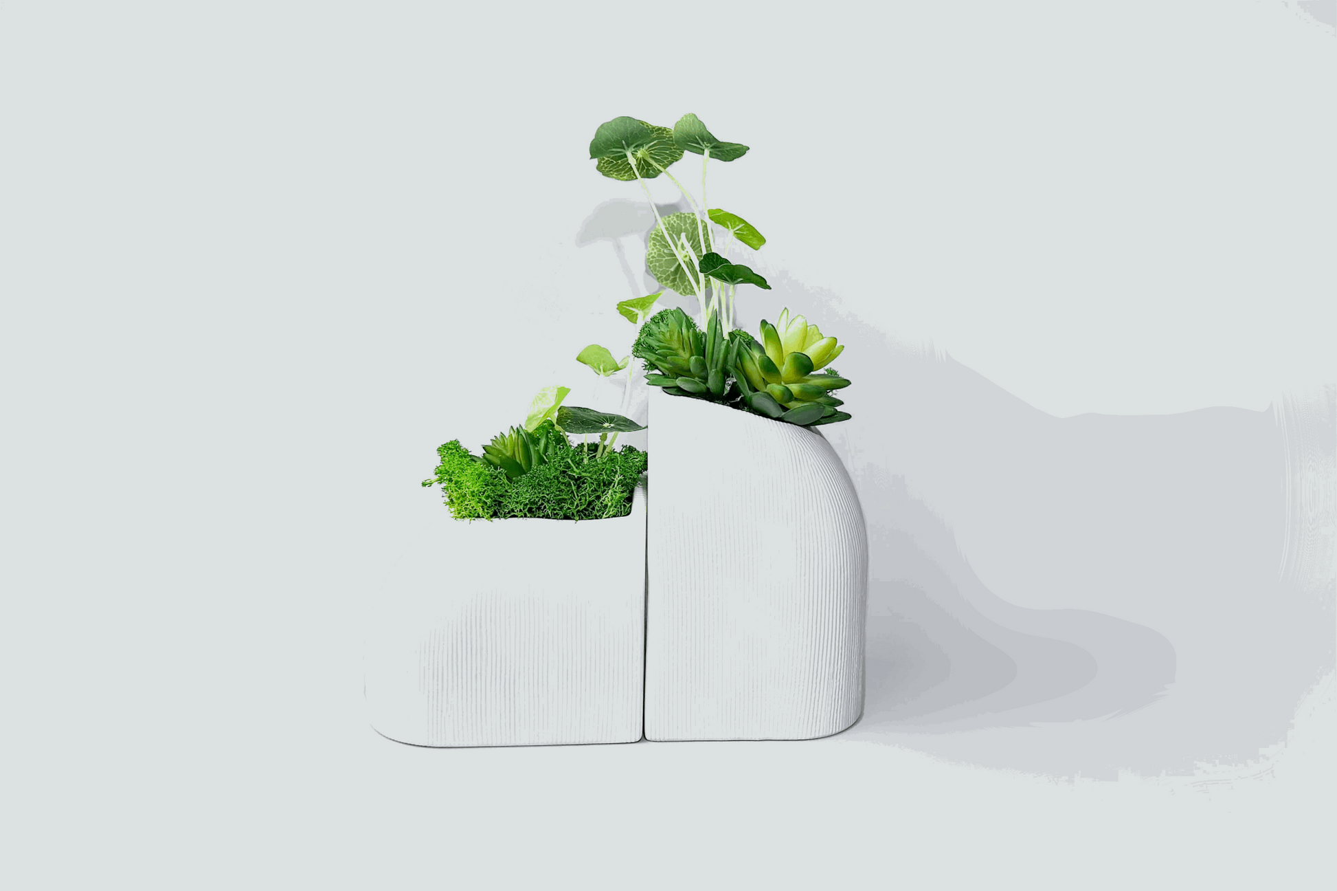 Elegance & Nature Tabletop Planter 2 Piece Set with Artificial Lotus &
Elevate your decor with our Elegance &amp; Nature Tabletop Planter Set. A serene marriage of artificial lotus leaves and preserved moss rests within two striking wh
