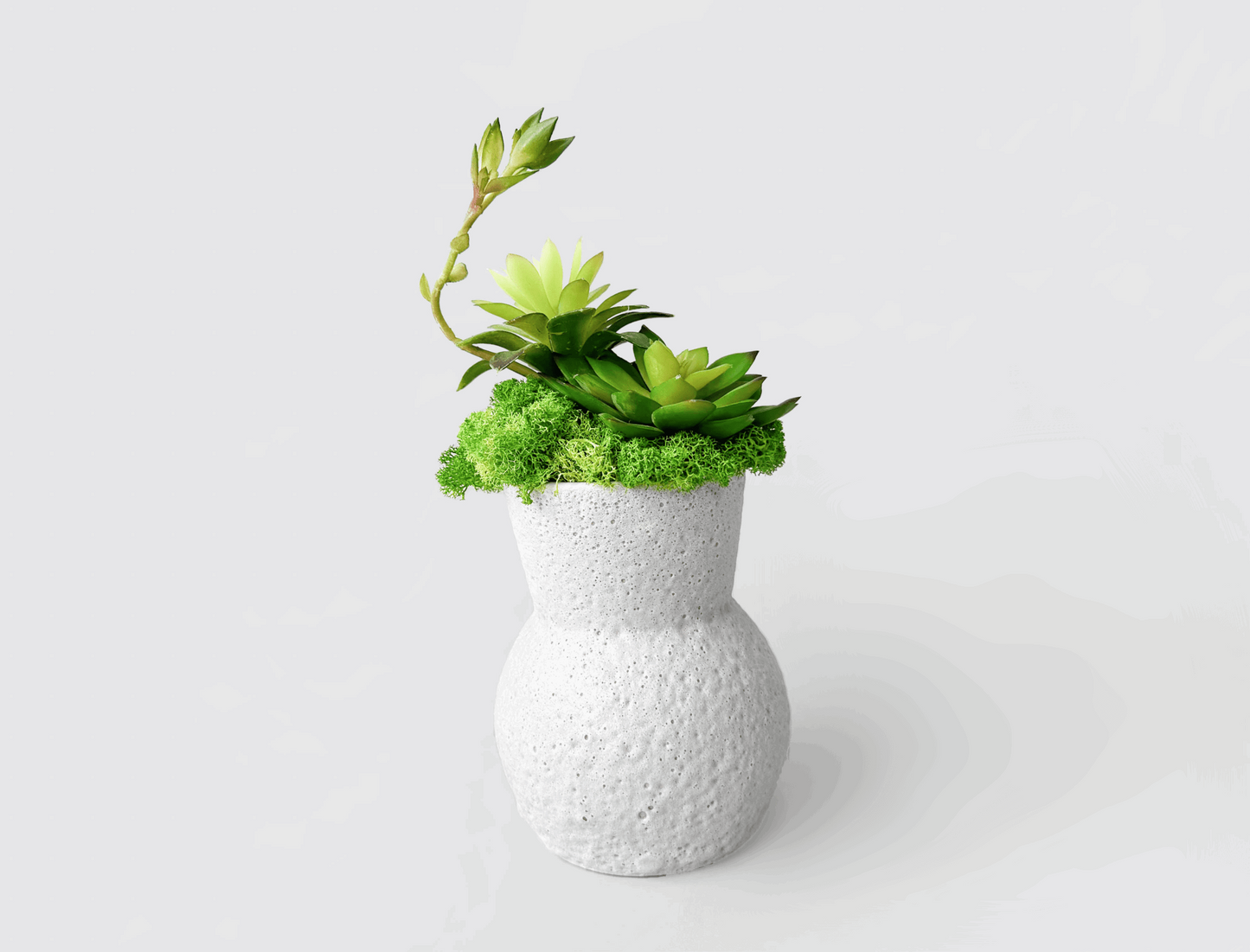 Whimsical Gourd-Shaped Planter with Preserved Moss and Faux SucculentsBring a slice of nature's tranquility into your environment with our Gourd-Shaped Planter. This charming piece, designed to resemble a gourd, offers an enchanting bl