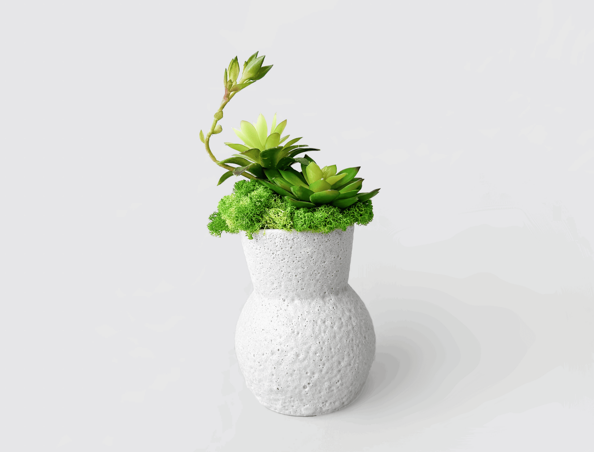 Whimsical Gourd-Shaped Planter with Preserved Moss and Faux SucculentsBring a slice of nature's tranquility into your environment with our Gourd-Shaped Planter. This charming piece, designed to resemble a gourd, offers an enchanting bl