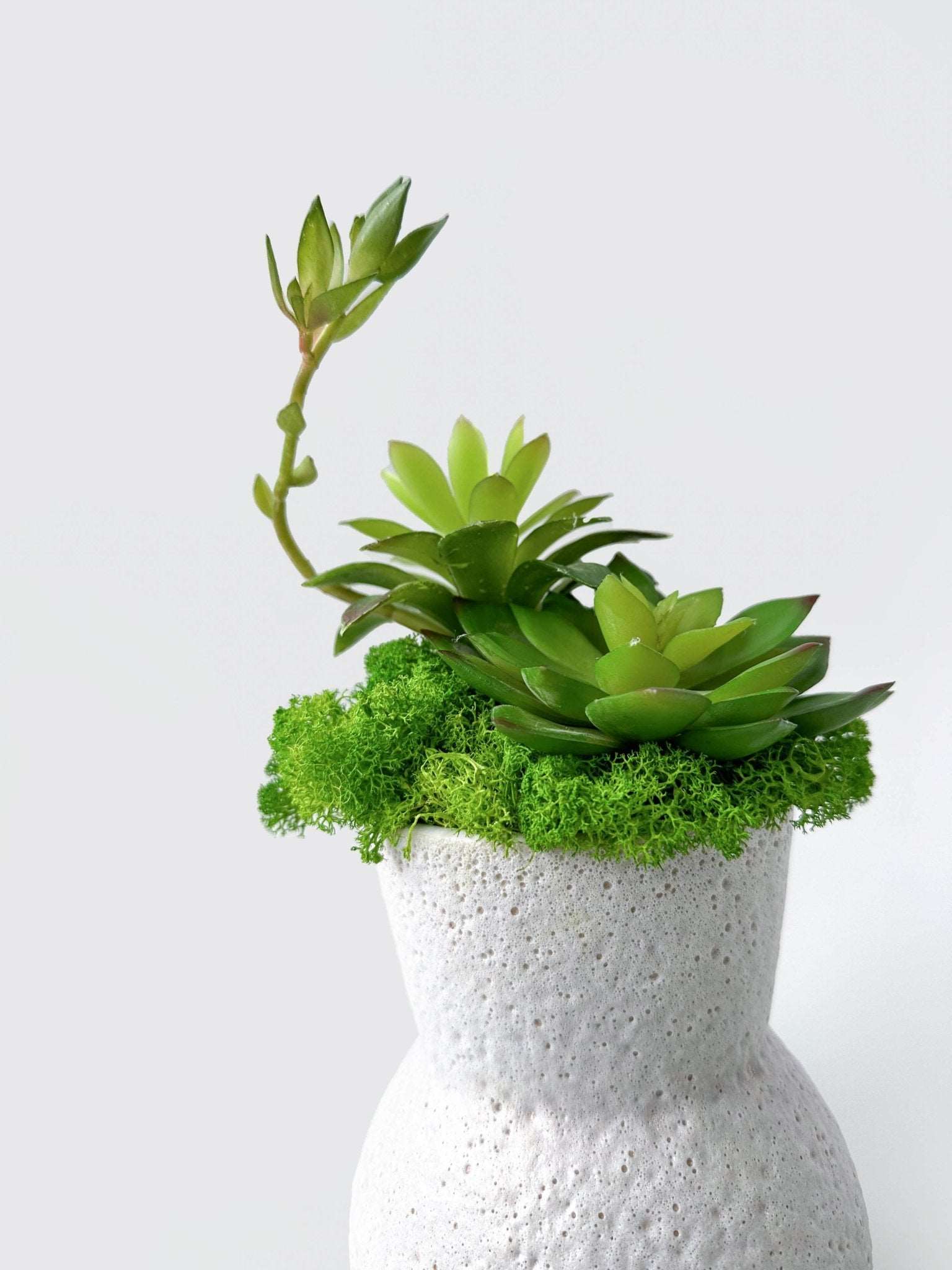 Whimsical Gourd-Shaped Planter with Preserved Moss and Faux SucculentsBring a slice of nature's tranquility into your environment with our Gourd-Shaped Planter. This charming piece, designed to resemble a gourd, offers an enchanting bl