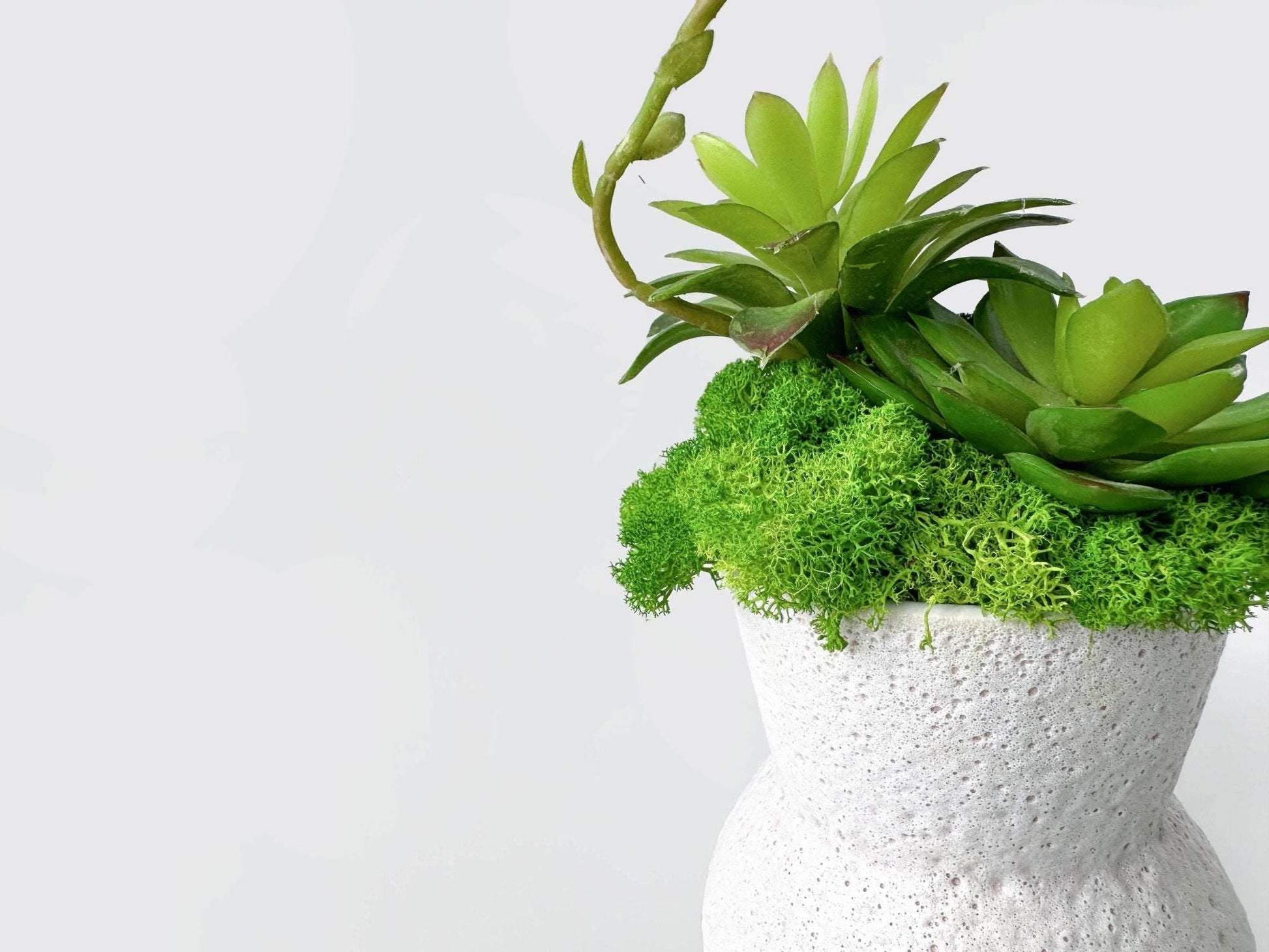 Whimsical Gourd-Shaped Planter with Preserved Moss and Faux SucculentsBring a slice of nature's tranquility into your environment with our Gourd-Shaped Planter. This charming piece, designed to resemble a gourd, offers an enchanting bl