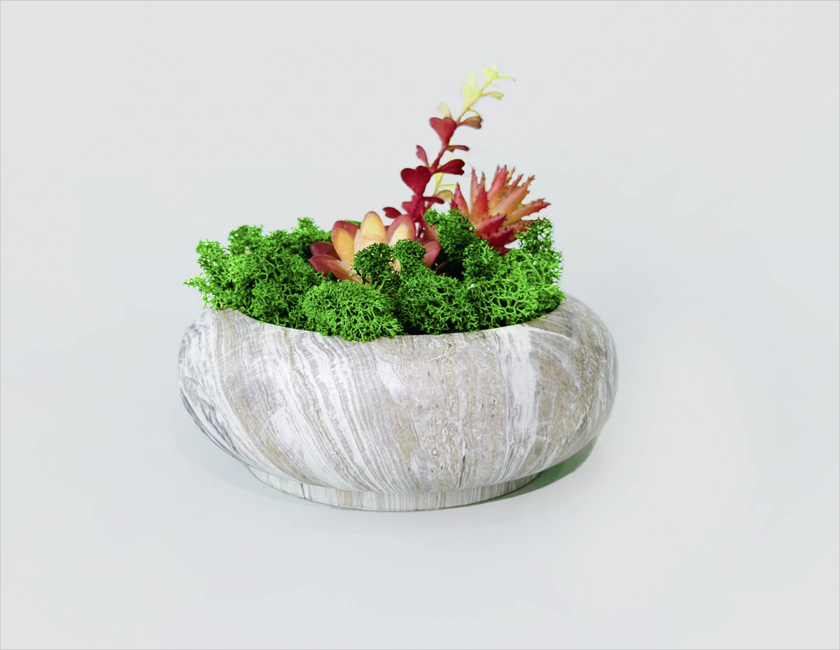 Succulent Moss Bowl Desktop Round Bonsai - Handcrafted Succulent Moss Bowl - Moss Artistry