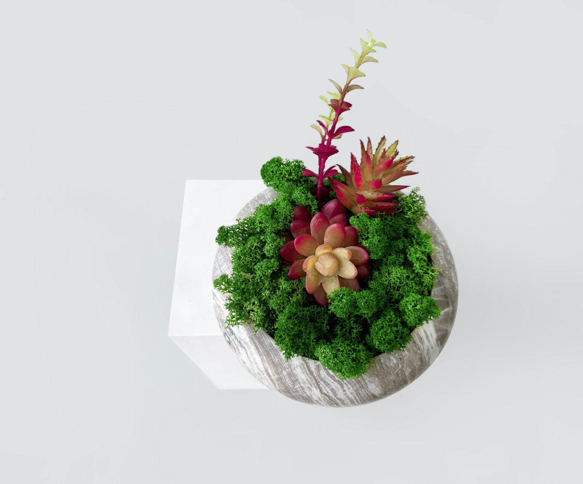 Succulent Moss Bowl Desktop Round Bonsai - Handcrafted Succulent Moss Bowl - Moss Artistry