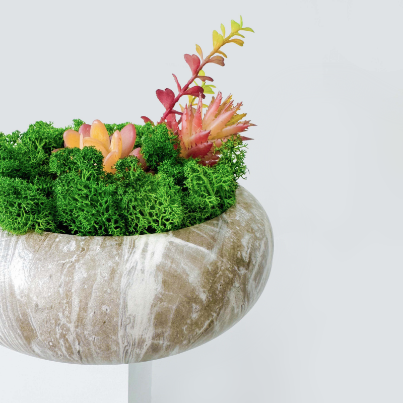 Succulent Moss Bowl Desktop Round Bonsai - Handcrafted Succulent Moss Bowl - Moss Artistry
