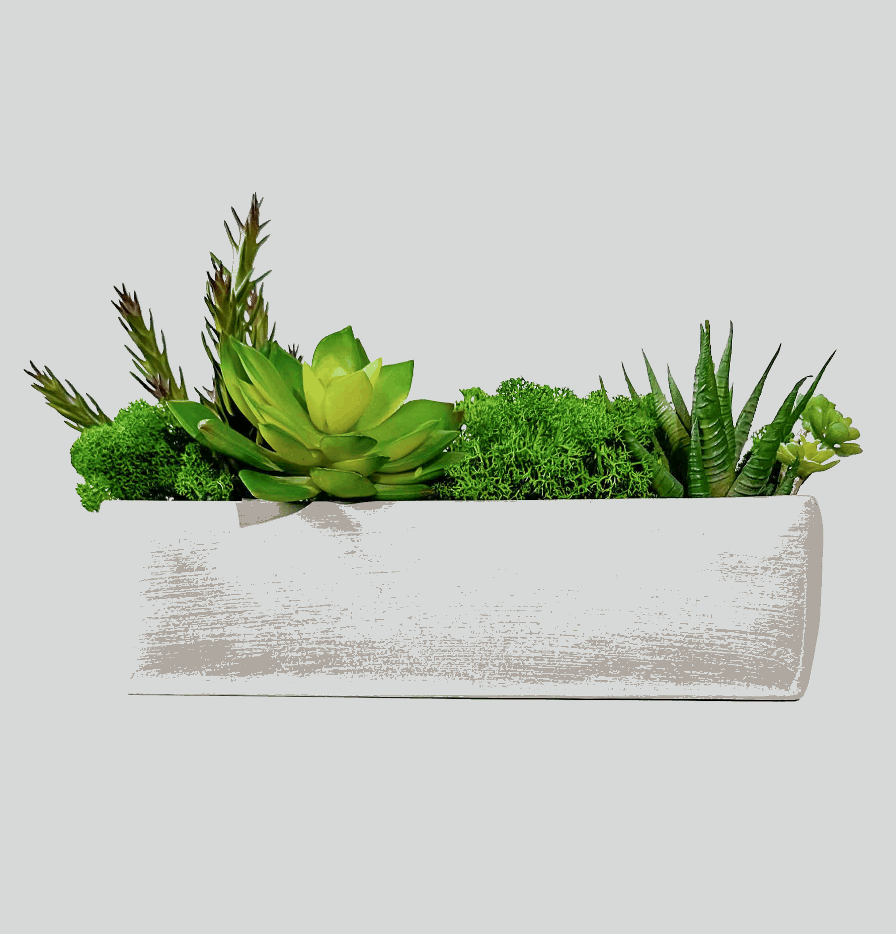 Succulent Moss Desktop Rectangular Bonsai - Faux Succulent and Moss ArEmbrace the timeless charm of our "Modern Nature" arrangement, a harmonious blend of faux succulents and preserved moss, elegantly housed in a unique square-shaped c