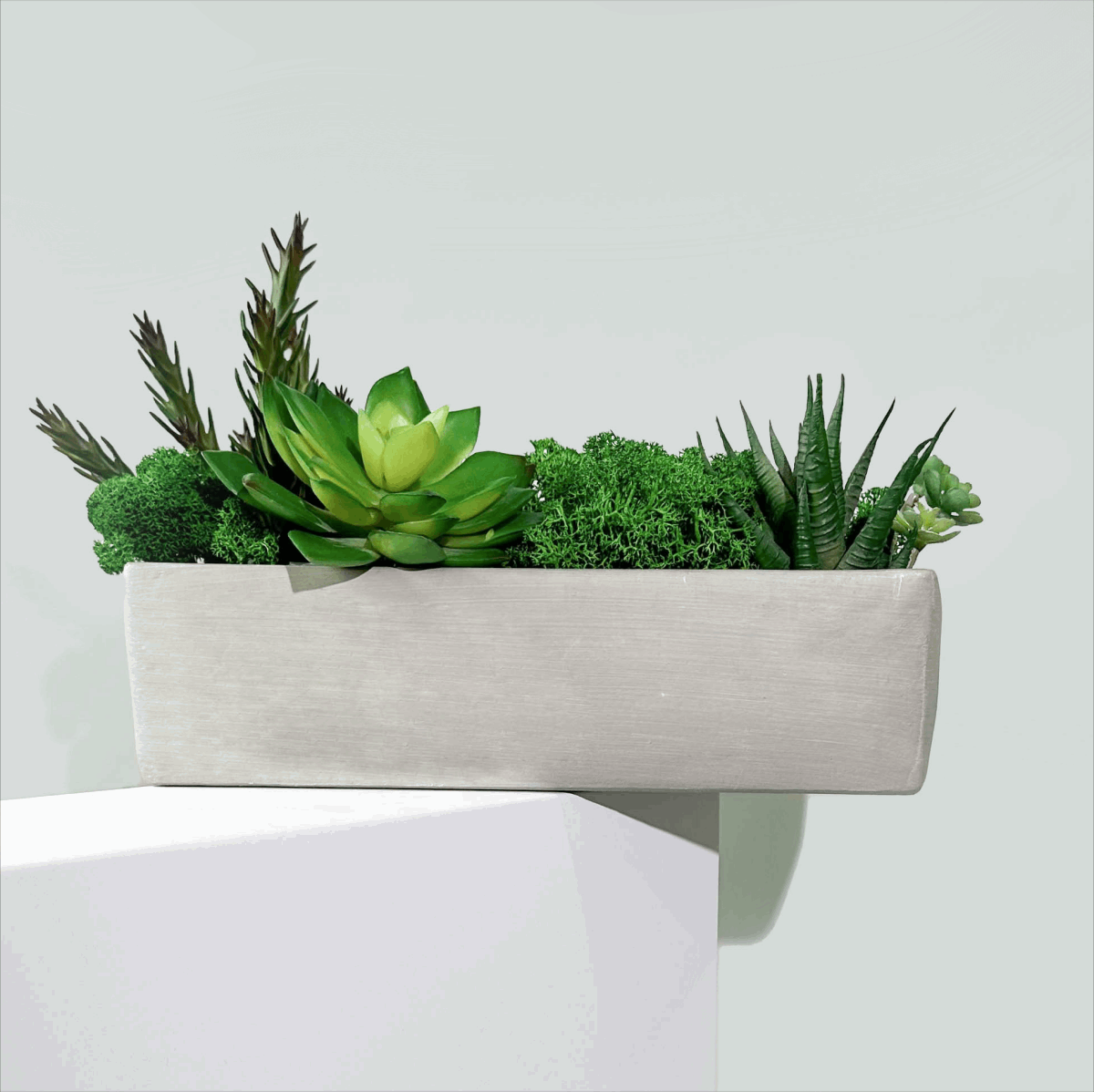 Succulent Moss Desktop Rectangular Bonsai - Faux Succulent and Moss ArEmbrace the timeless charm of our "Modern Nature" arrangement, a harmonious blend of faux succulents and preserved moss, elegantly housed in a unique square-shaped c