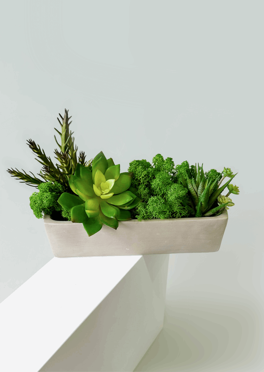 Succulent Moss Desktop Rectangular Bonsai - Faux Succulent and Moss ArEmbrace the timeless charm of our "Modern Nature" arrangement, a harmonious blend of faux succulents and preserved moss, elegantly housed in a unique square-shaped c
