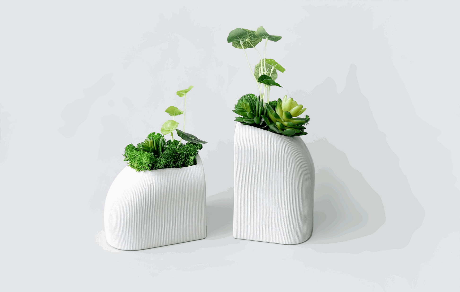 Elegance & Nature Tabletop Planter 2 Piece Set with Artificial Lotus &
Elevate your decor with our Elegance &amp; Nature Tabletop Planter Set. A serene marriage of artificial lotus leaves and preserved moss rests within two striking wh
