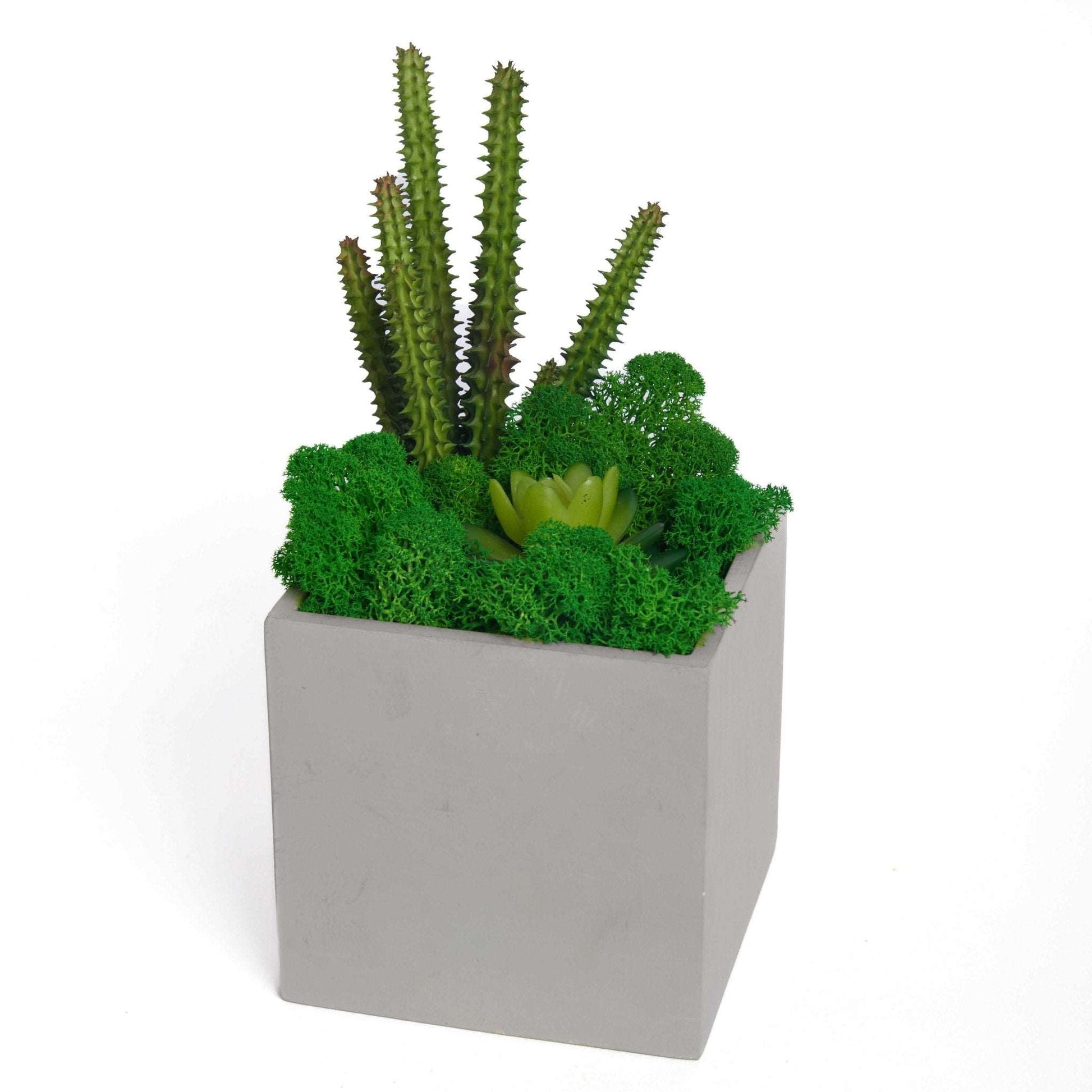 Contemporary Cement Planter with Preserved Moss and Faux SucculentsRevitalize your space with our stylish and low-maintenance plant arrangement. This chic piece features a unique combination of lush preserved moss and lifelike faux 