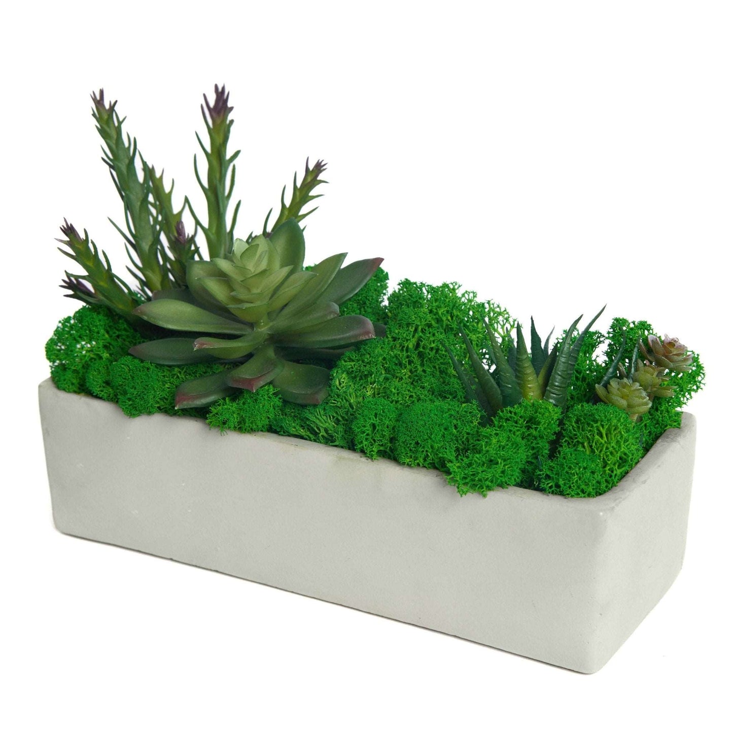 Succulent Moss Desktop Rectangular Bonsai - Faux Succulent and Moss ArEmbrace the timeless charm of our "Modern Nature" arrangement, a harmonious blend of faux succulents and preserved moss, elegantly housed in a unique square-shaped c