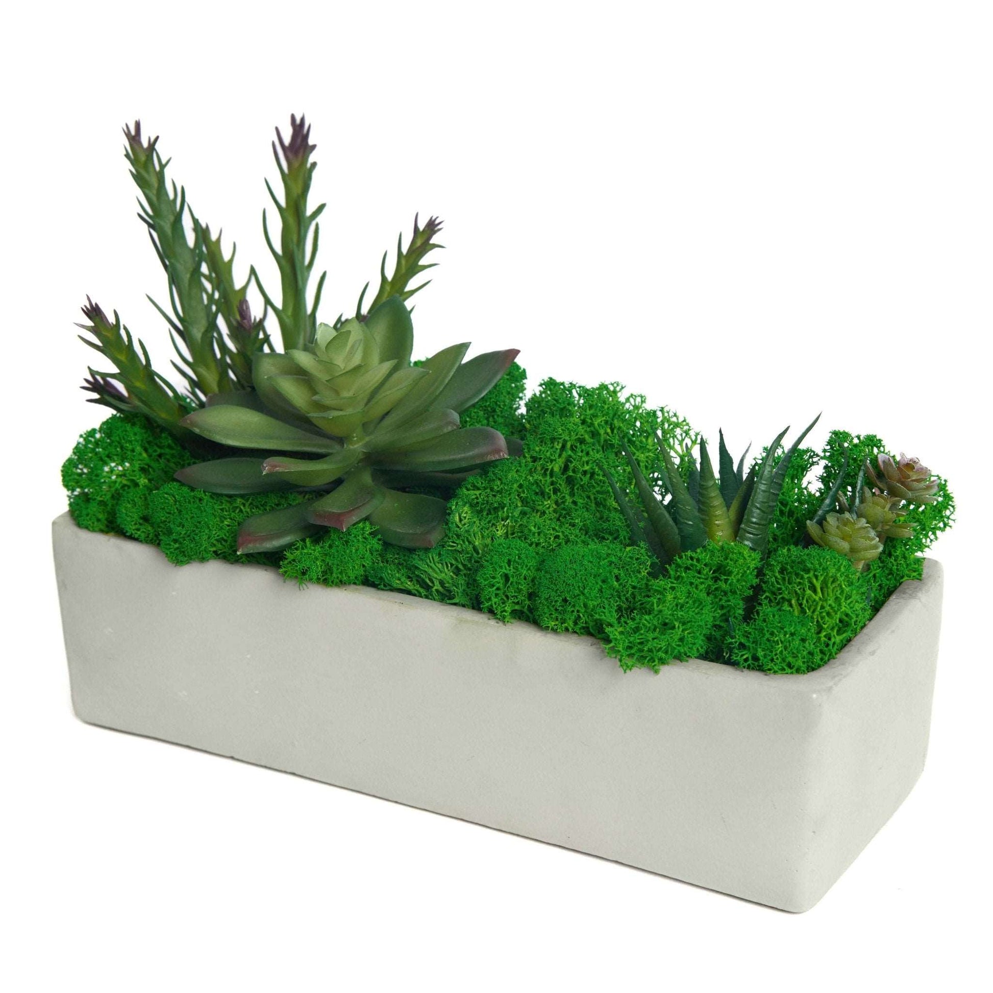 Succulent Moss Desktop Rectangular Bonsai - Faux Succulent and Moss ArEmbrace the timeless charm of our "Modern Nature" arrangement, a harmonious blend of faux succulents and preserved moss, elegantly housed in a unique square-shaped c
