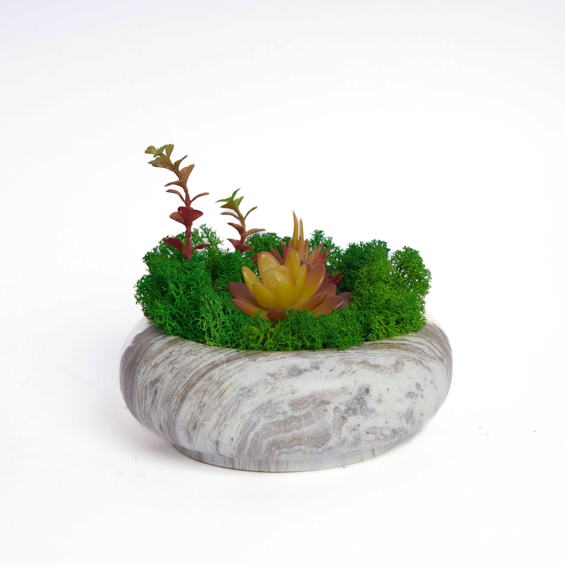 Succulent Moss Bowl Desktop Round Bonsai - Handcrafted Succulent Moss Bowl
