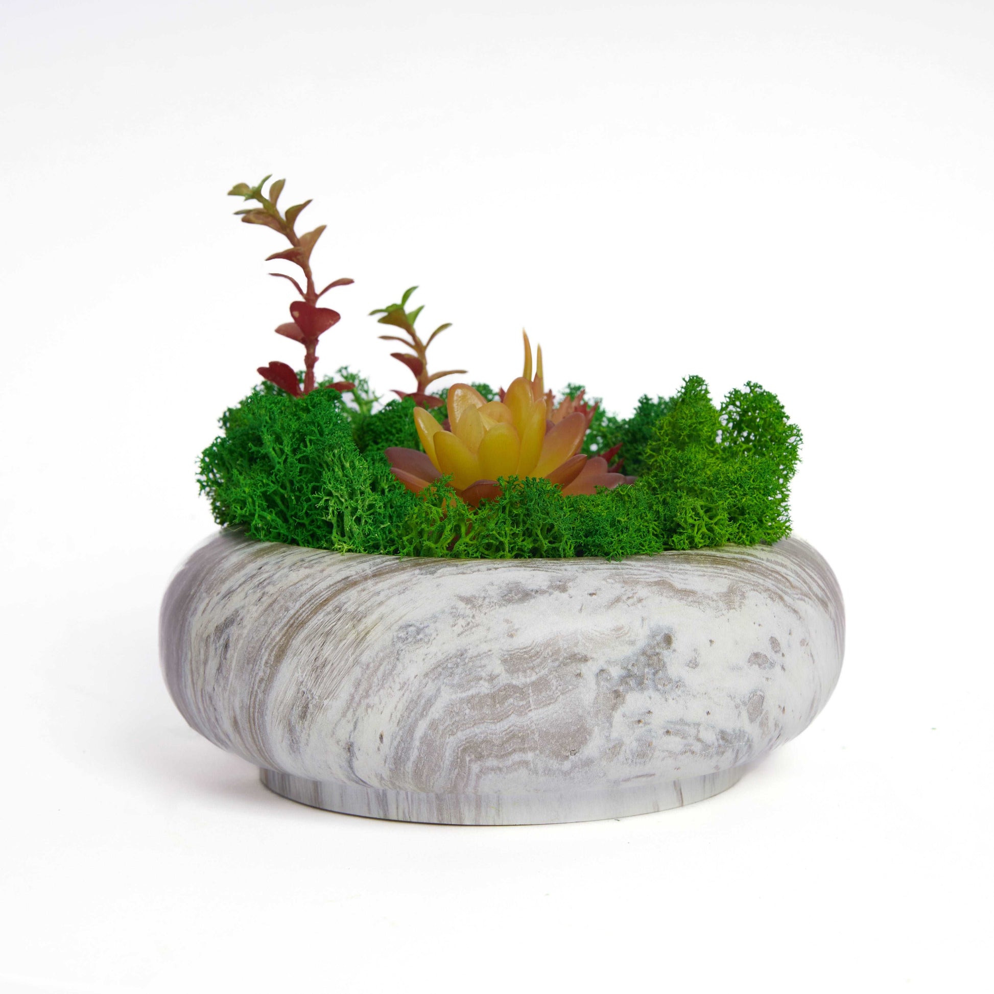 Succulent Moss Bowl Desktop Round Bonsai - Handcrafted Succulent Moss Bowl