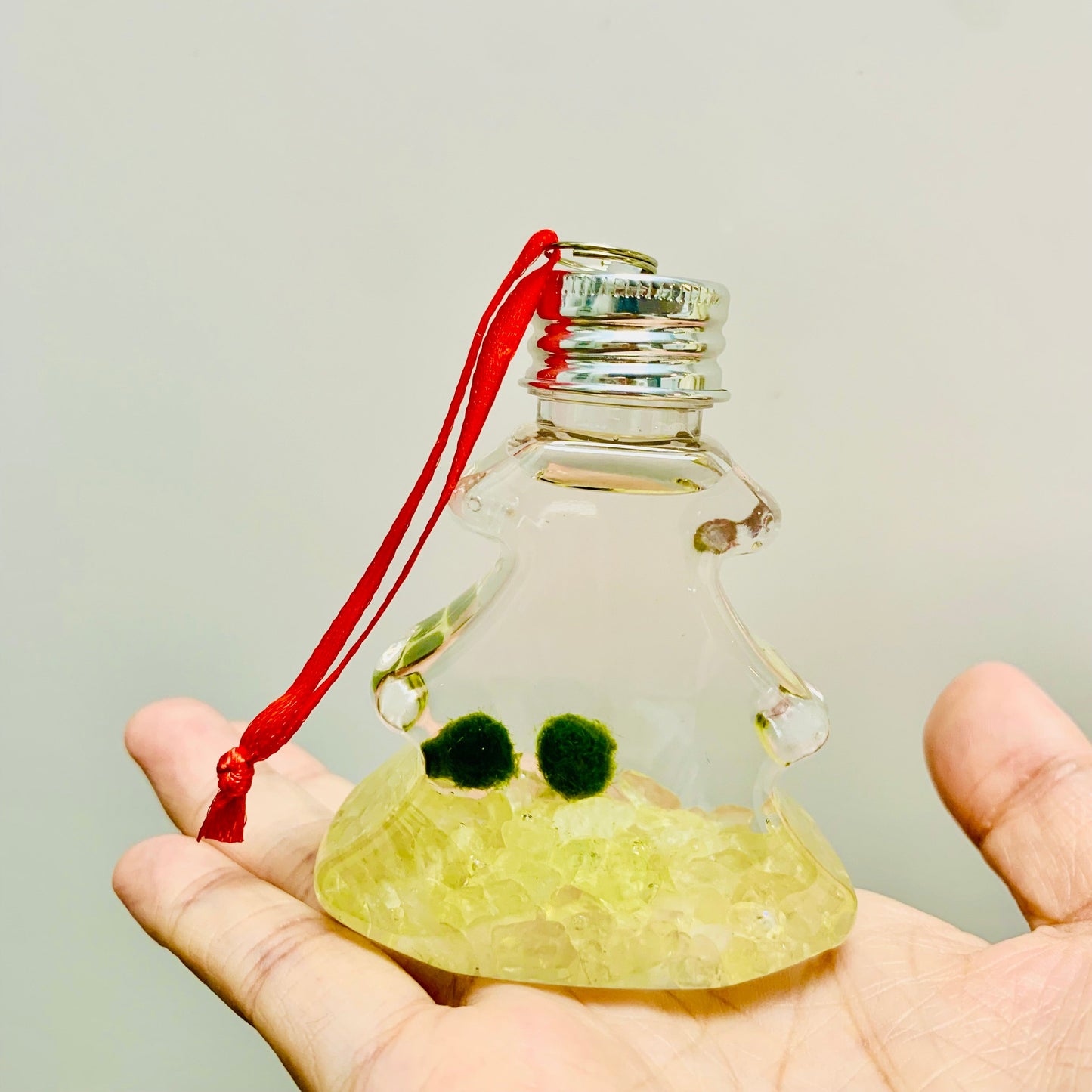 Live Moss Ball Aqua Plant Pet Ornament with Natural Yellow Citrine