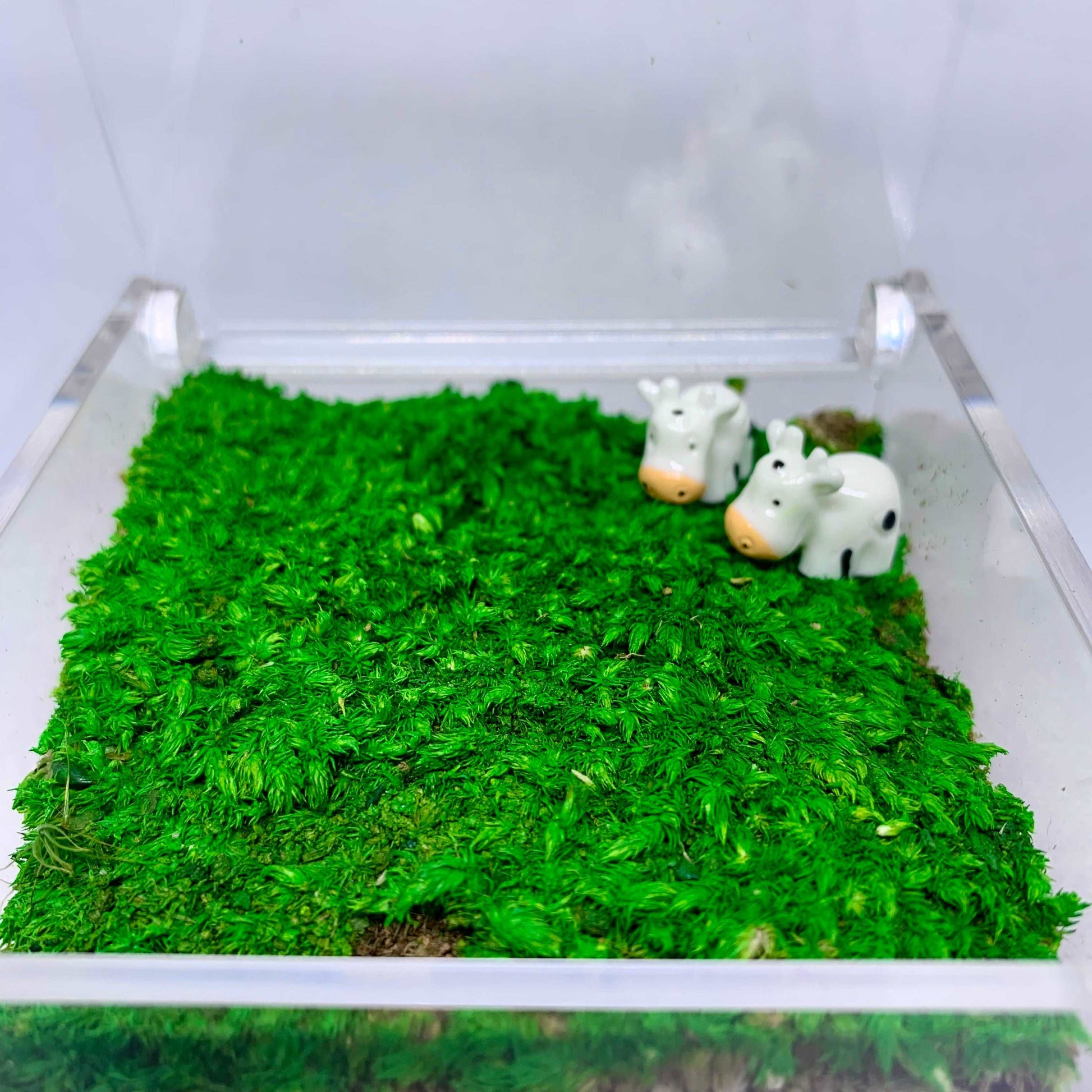 Table Decor Mini Sheep Decoration Micro Landscape Lawn Handmade