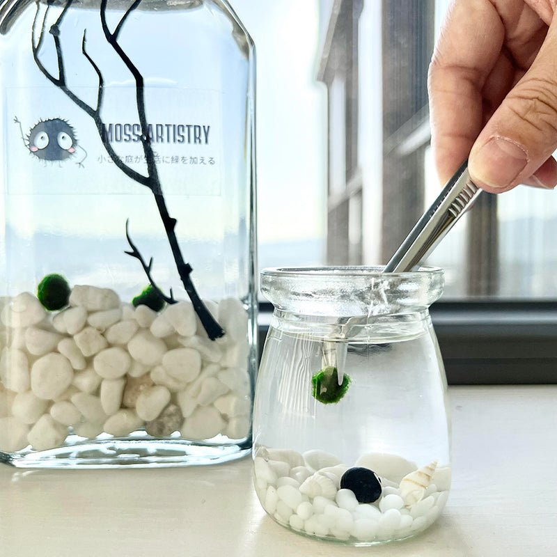 Live Moss Balls Mini Aquarium JarSpecification:
3"x2.2" Glass Jar * 1
Marimo Live Moss Ball * 1
White Pebbles Bag * 1
Name Card and wood stander * 1
Stick * 1
Smaller Tweezer * 1
Simple Care Instruc