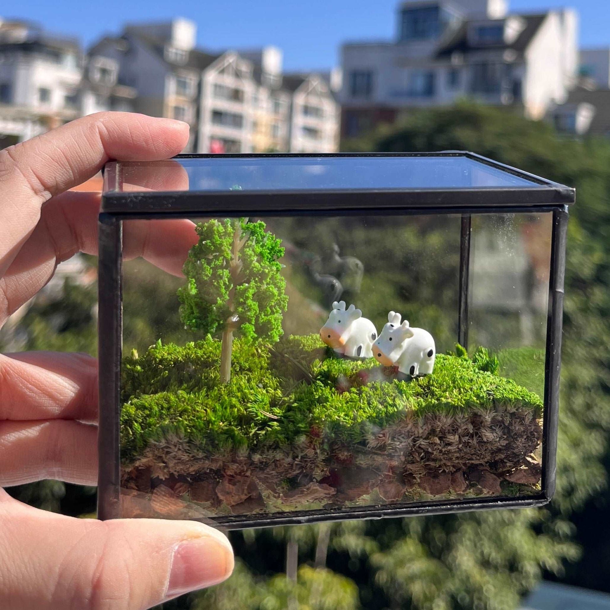 micro mini terrarium plants Micro Landscape Mini Cows Handmade Glass Terrarium Preserved Mossbox Mini Terrarium