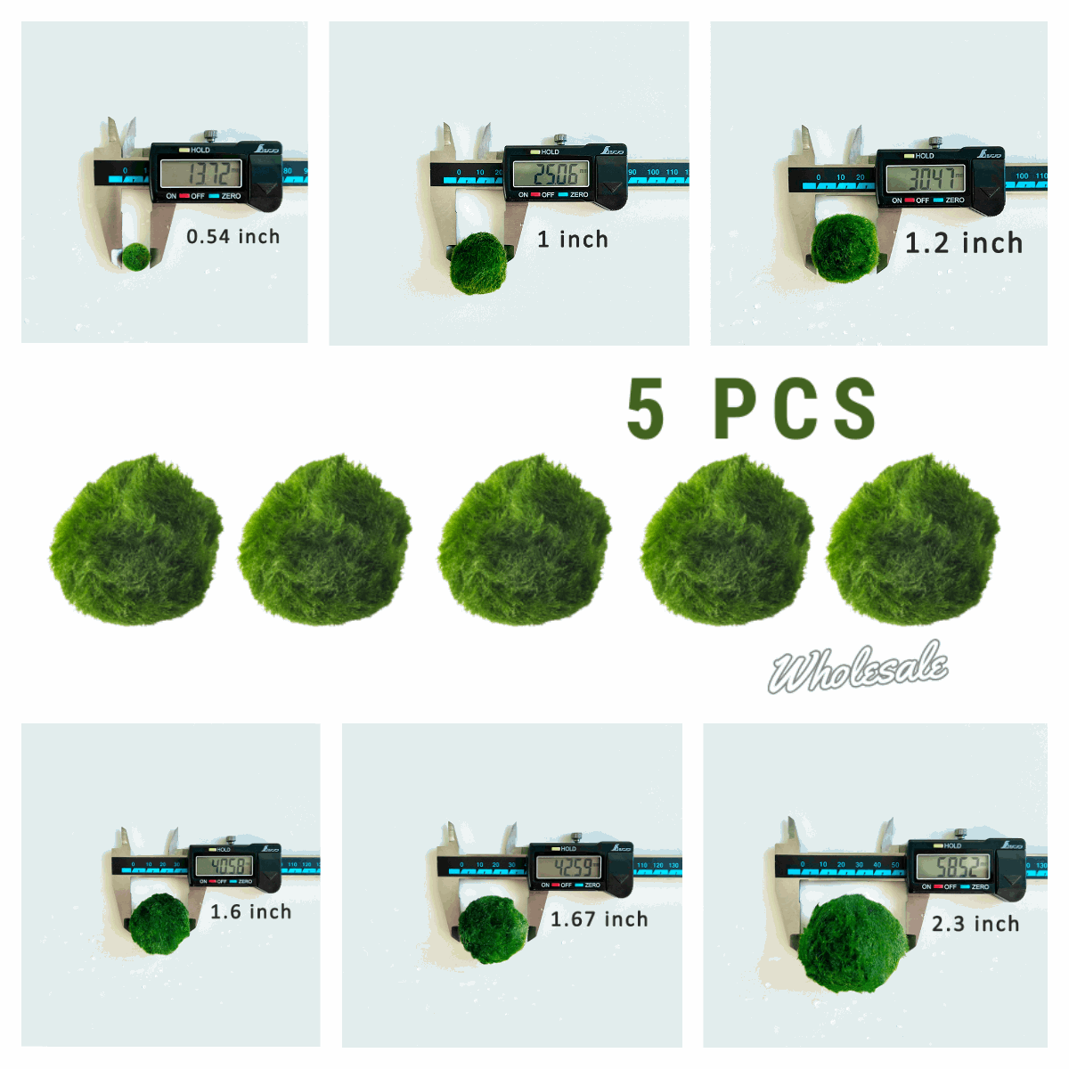 Moss ArtistryMarimo Moss Balls