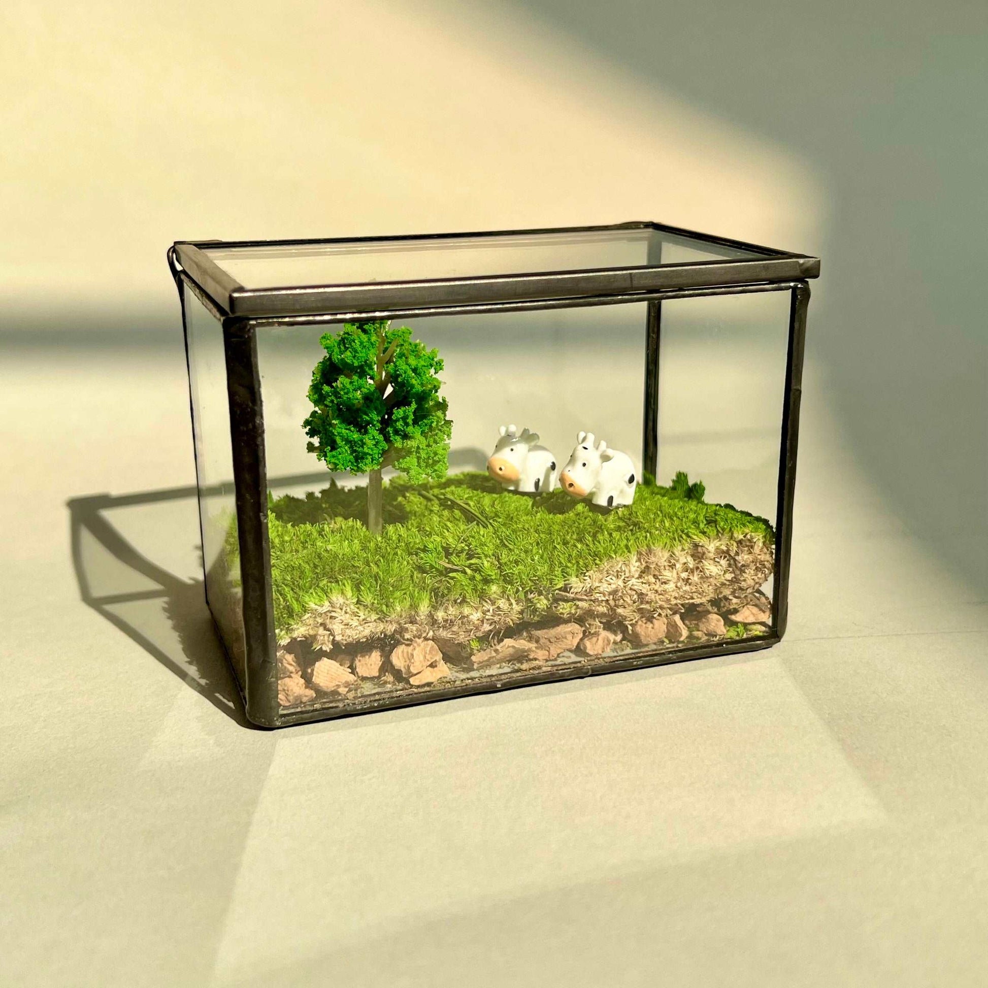 Micro Landscape Mini Cows Handmade Glass Terrarium Preserved Mossbox MAdd a dash of pastoral charm to your desk with our "Pastoral Play" Miniature Cow Scene, a handmade glass terrarium that combines the beauty of a glass terrarium with