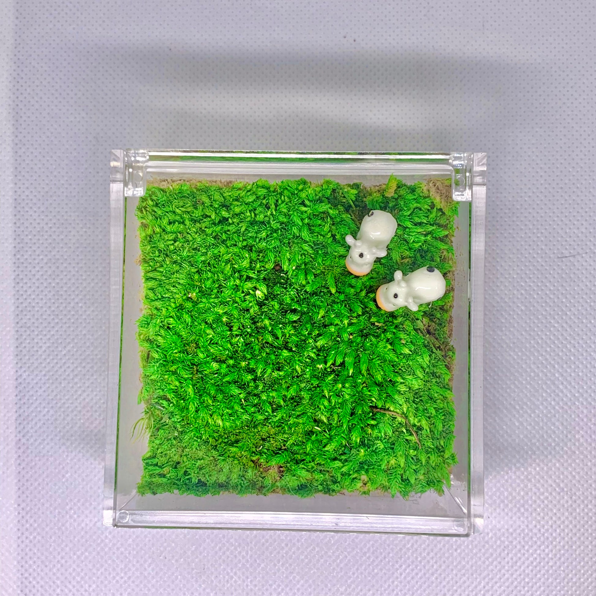 Mini Sheep Desktop Decoration Micro Landscape Lawn Handmade Arcylic Pr
Revamp Your Workspace with Handcrafted Desktop Decorations
Break the monotony of your daily routine with our Mini Sheep Desktop Decoration Micro Landscape Lawn Hand