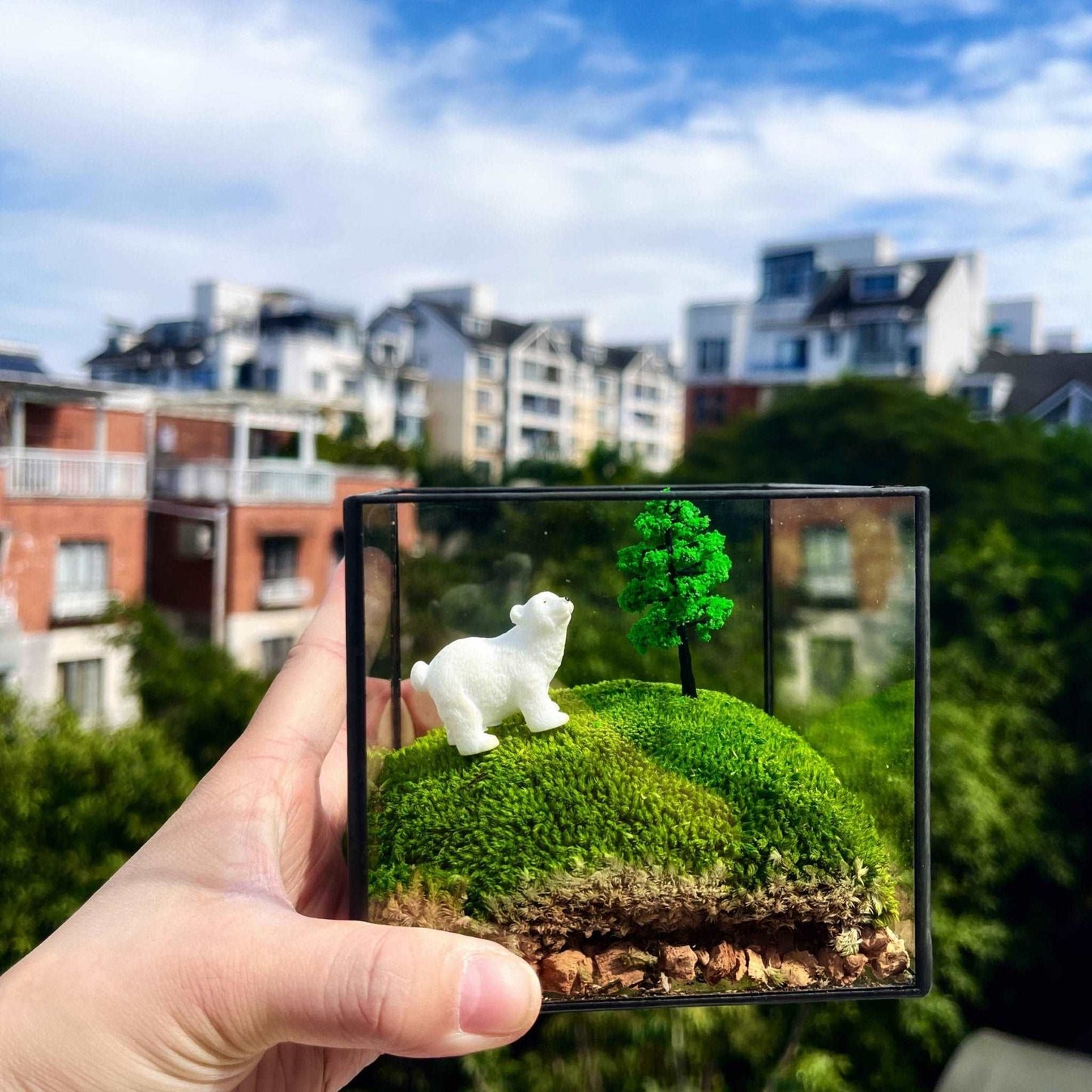 White Lost Bear Mossbox - Middle Size Micro Landscape in Square Glass