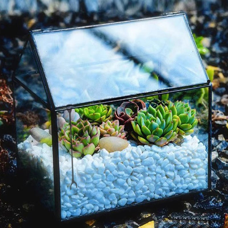 Small 6.1"x6.3"x4.33" Black House Shape Glass Terrarium with Swing Lid


Material
Glass


Special Feature
with lid


Item Weight
1.68 Pounds


Shape
house shape


Specific Uses For Product
Indoor


Style
geometric


Color
Black




Hou