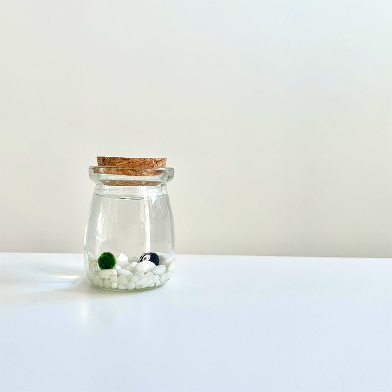 Live Moss Balls Mini Aquarium JarSpecification:
3"x2.2" Glass Jar * 1
Marimo Live Moss Ball * 1
White Pebbles Bag * 1
Name Card and wood stander * 1
Stick * 1
Smaller Tweezer * 1
Simple Care Instruc