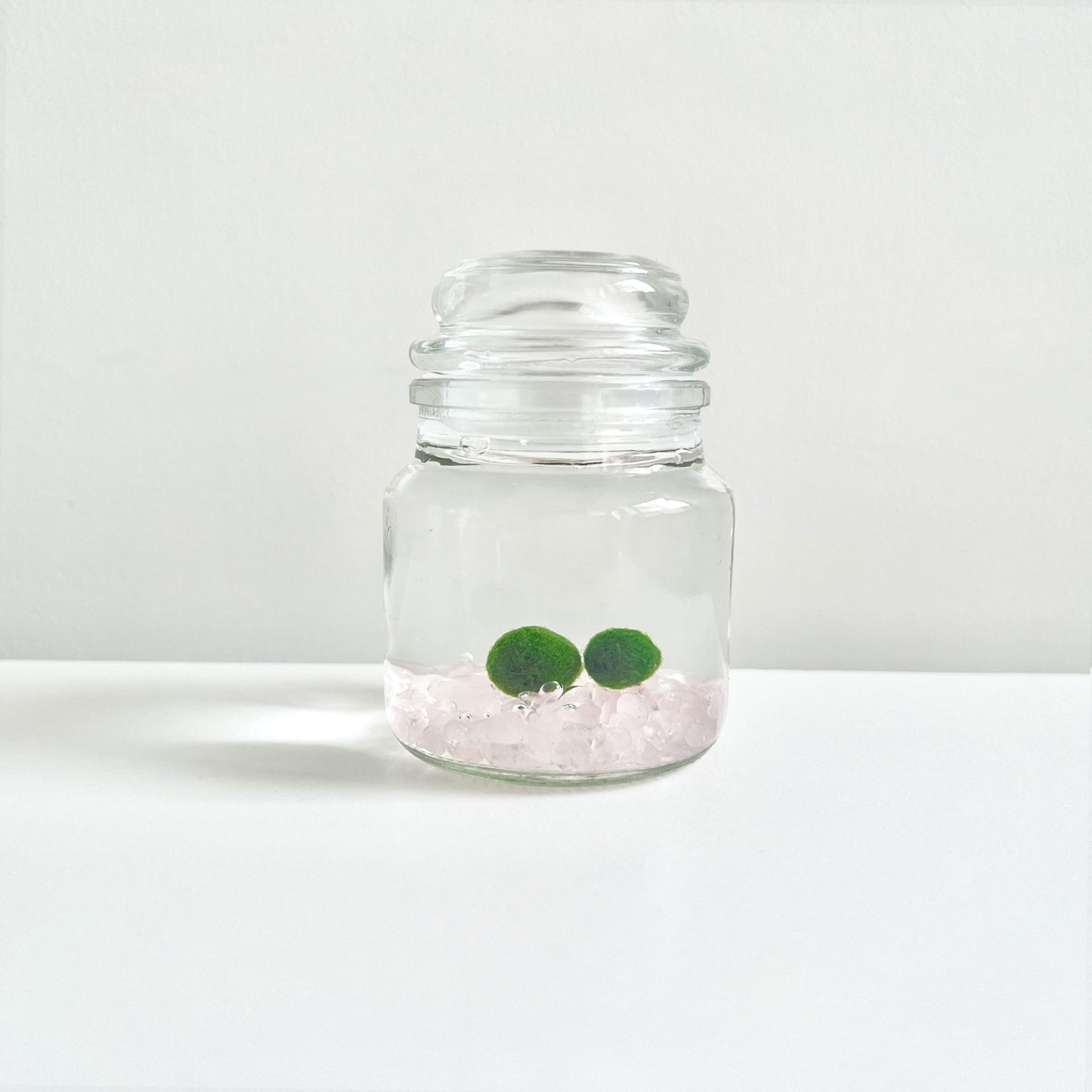 Moss Ball Kit – 2pcs 120ml Glass Jars with Lids, 1cm Live Marimo Moss Balls, Mushroom Bottle Set – Unique Terrarium Gift