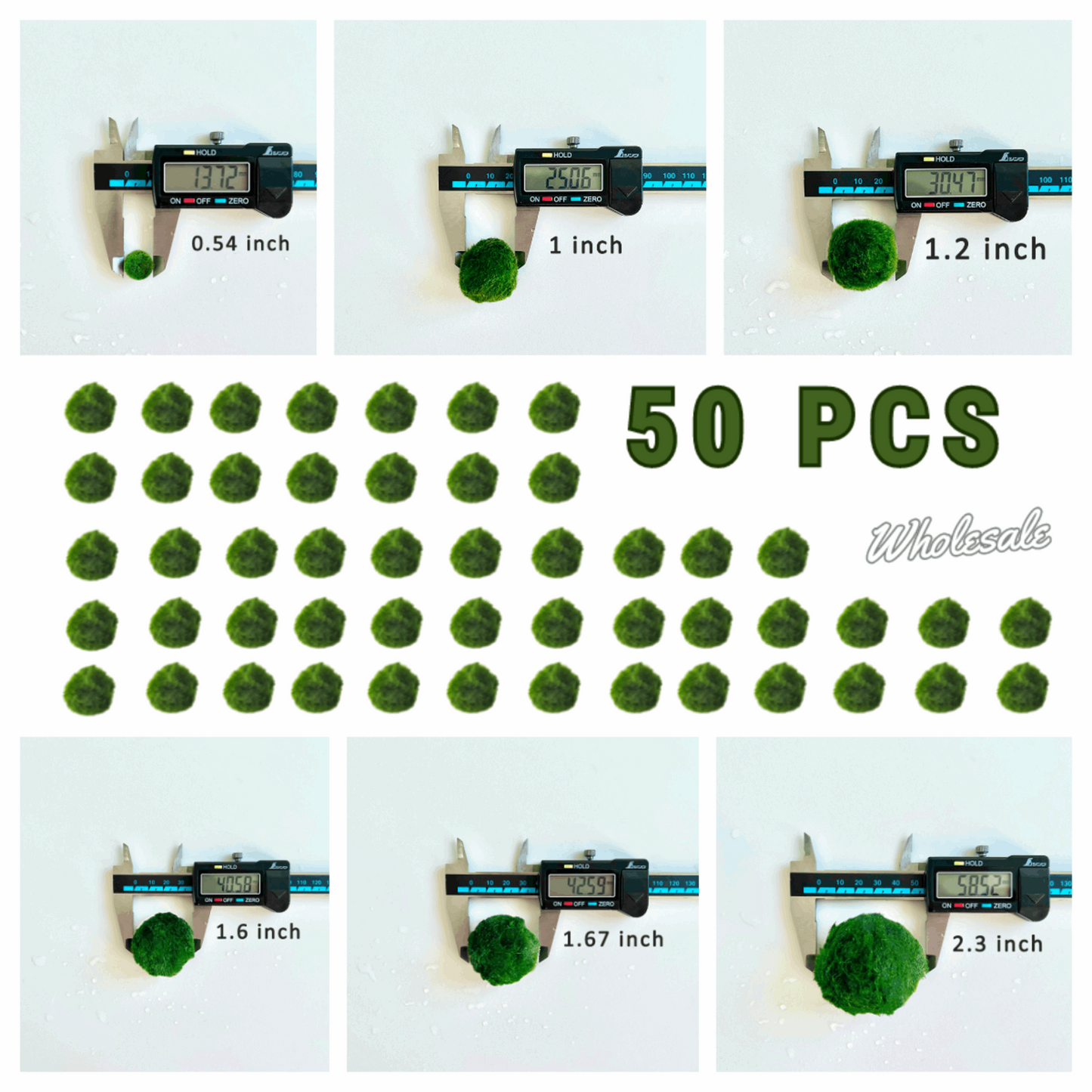 Marimo Moss Balls For Aquarium 3 Month 0.5-0.8cm Marimo Moss Balls: 5/
Marimo Moss Ball, smaller than 1.5cm.

Mini Baby: &lt;0.5cm
3 Month: 0.5-0.8cm
6 Month: 0.9-1.2cm
12 Month: &gt;1.2cm

Grow slowly but for glass terrarium is just p