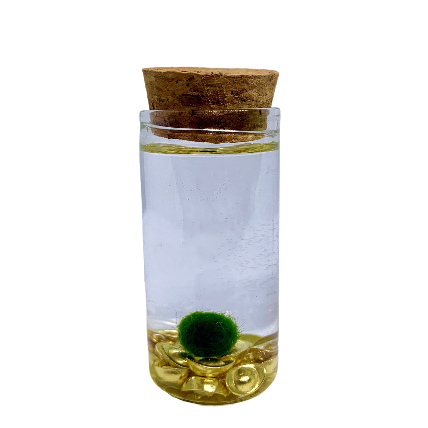 Fortune Moss Kit Office Desktop Decor