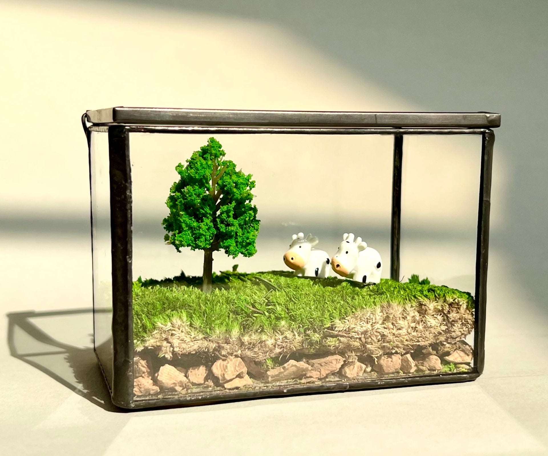 Micro Landscape Mini Cows Handmade Glass Terrarium Preserved Mossbox MAdd a dash of pastoral charm to your desk with our "Pastoral Play" Miniature Cow Scene, a handmade glass terrarium that combines the beauty of a glass terrarium with