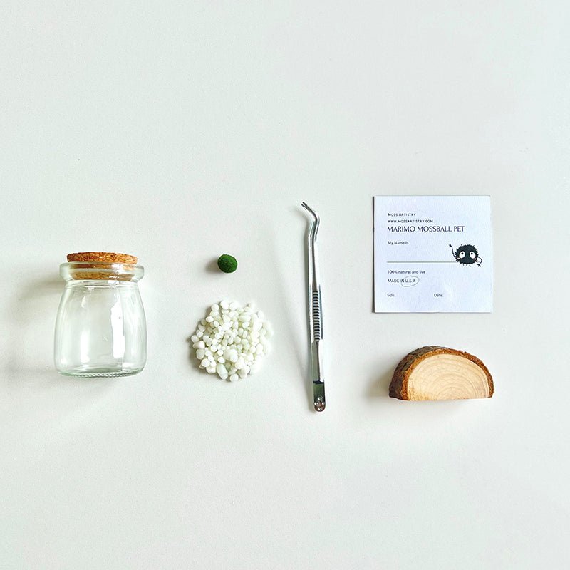 Live Moss Balls Mini Aquarium JarSpecification:
3"x2.2" Glass Jar * 1
Marimo Live Moss Ball * 1
White Pebbles Bag * 1
Name Card and wood stander * 1
Stick * 1
Smaller Tweezer * 1
Simple Care Instruc