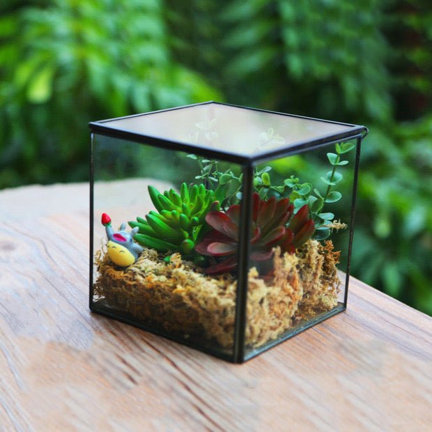 Square Glass Terrarium (No Plants) - Glass Container


Material
Glass


Special Feature
With lid


Item Weight
0.7 Pounds


Shape
Cube


Specific Uses For Product
Indoor


Style
geometric










Made of framed tran
