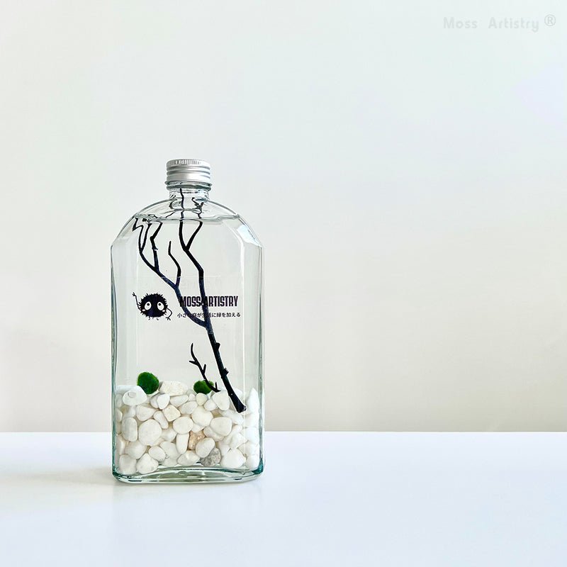 Marimo Moss Ball Aquarium Designer 8"x4" Mini Aquarium Glass TerrariumSpecification:
8"x4" Glass Terrarium * 1
1-2 cm Marimo Live Moss Ball * 2
White Pebbles Bag * 1
Name Card and wood stander * 1
Stick * 1
$3.99 Smaller Tweezer * 1
[product_description]