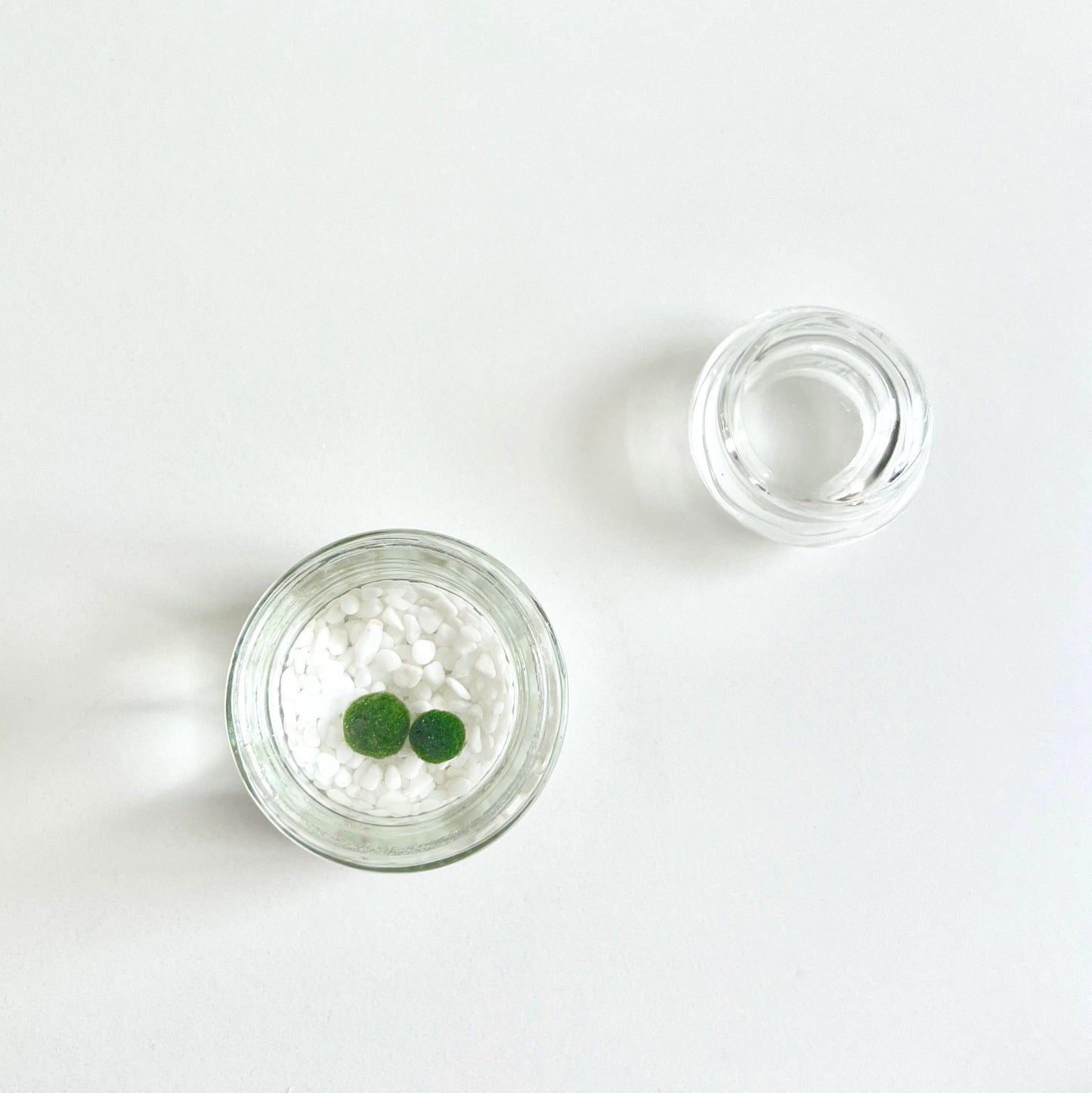 Moss Ball Kit – 2pcs 120ml Glass Jars with Lids, 1cm Live Marimo Moss Balls, Mushroom Bottle Set – Unique Terrarium Gift
