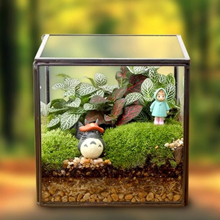 Square Glass Terrarium (No Plants) - Glass Container


Material
Glass


Special Feature
With lid


Item Weight
0.7 Pounds


Shape
Cube


Specific Uses For Product
Indoor


Style
geometric










Made of framed tran