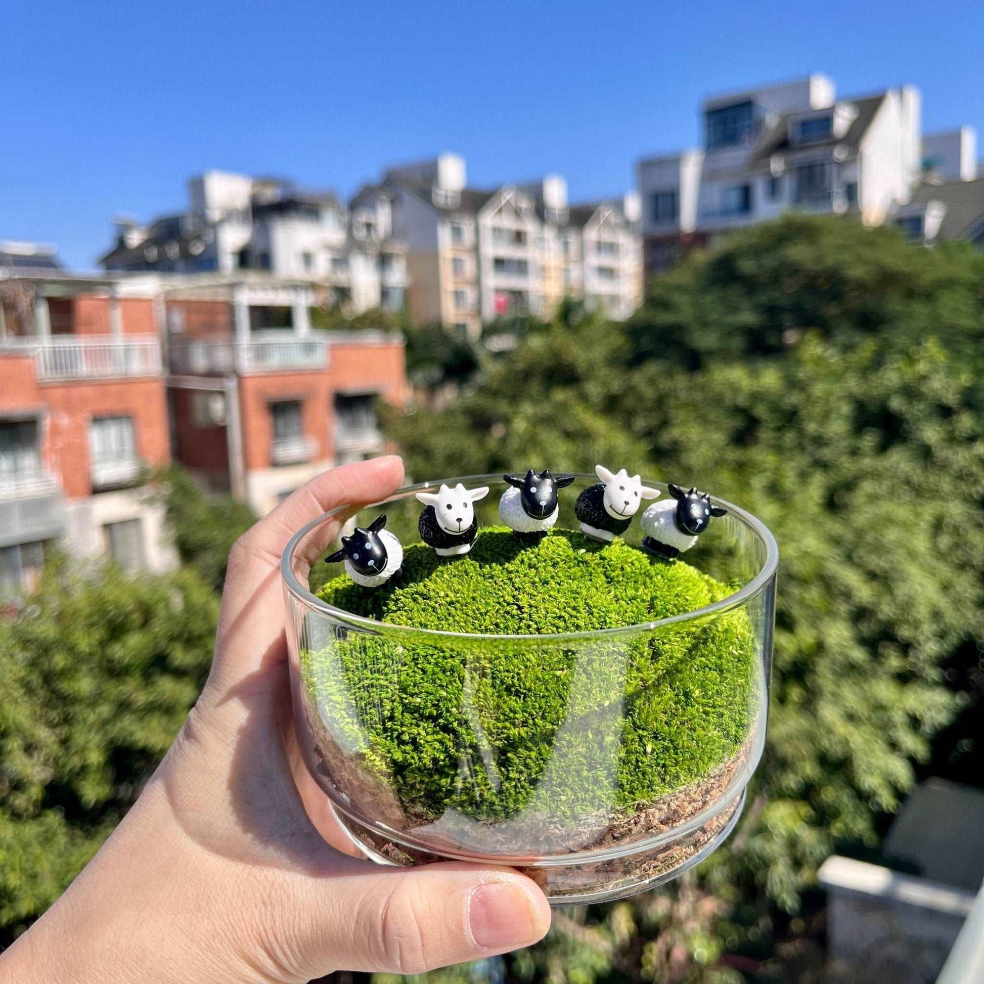 Mini Sheep Desktop Decoration Micro Landscape Lawn Handmade Preserved Moss Art