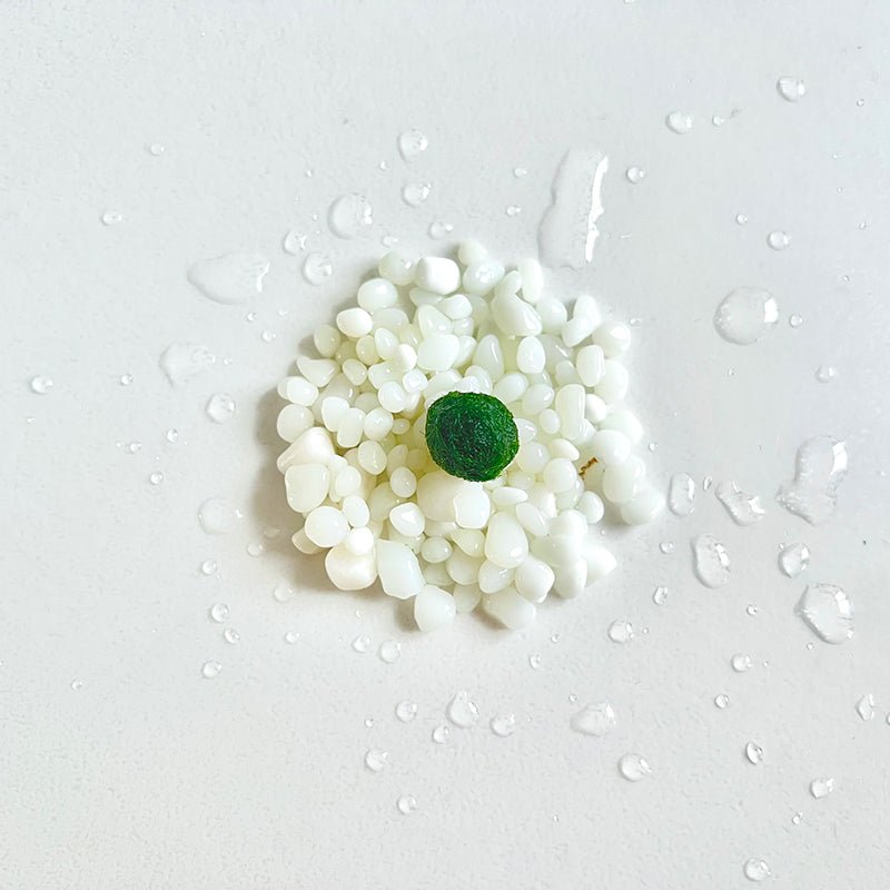 Live Moss Balls Mini Aquarium JarSpecification:
3"x2.2" Glass Jar * 1
Marimo Live Moss Ball * 1
White Pebbles Bag * 1
Name Card and wood stander * 1
Stick * 1
Smaller Tweezer * 1
Simple Care Instruc