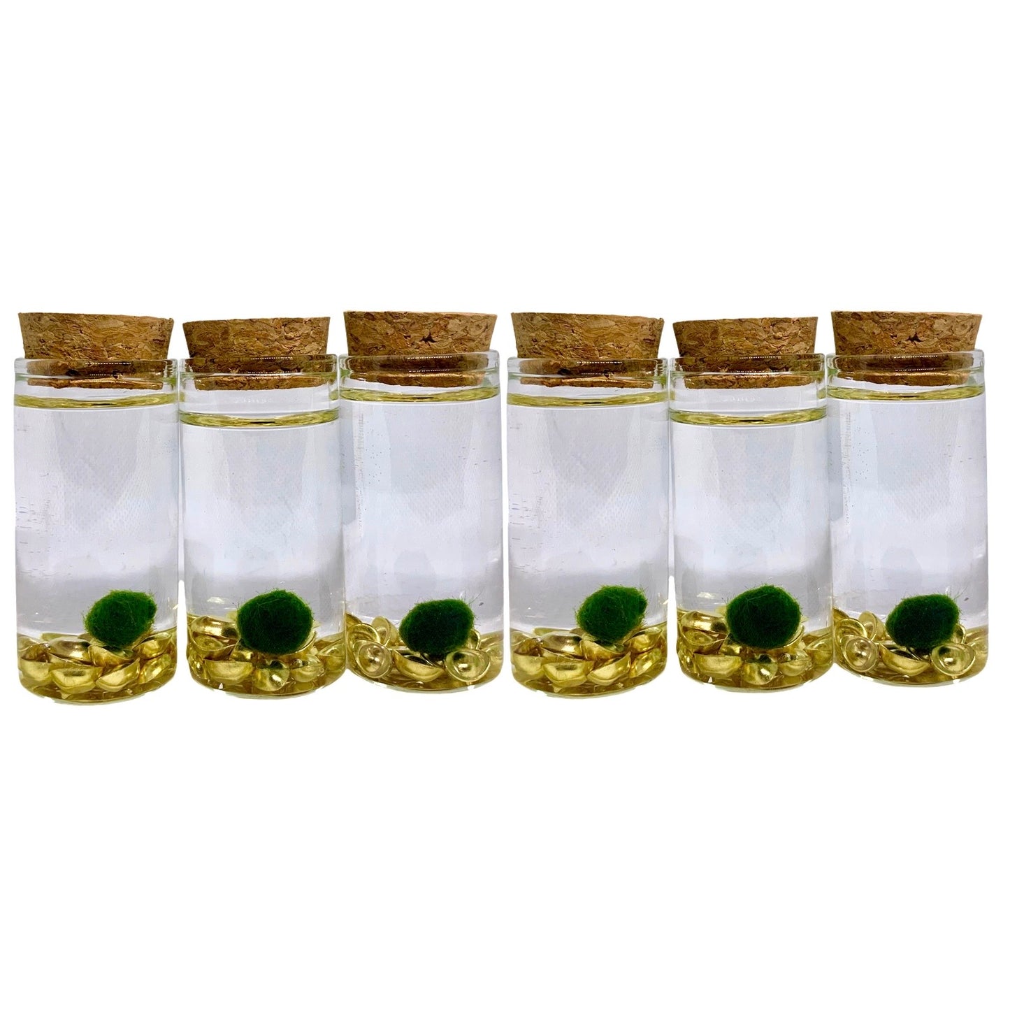 Fortune Moss Kit Office Desktop Decor