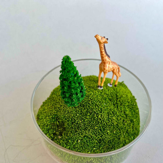 Handmade Terrarium Mini Giraffe Desktop Decoration Micro Landscape LawAre you tired of the monotony of your computer desktop? Say goodbye to boredom with our meticulously designed and handmade desktop decorations. Each product is craft