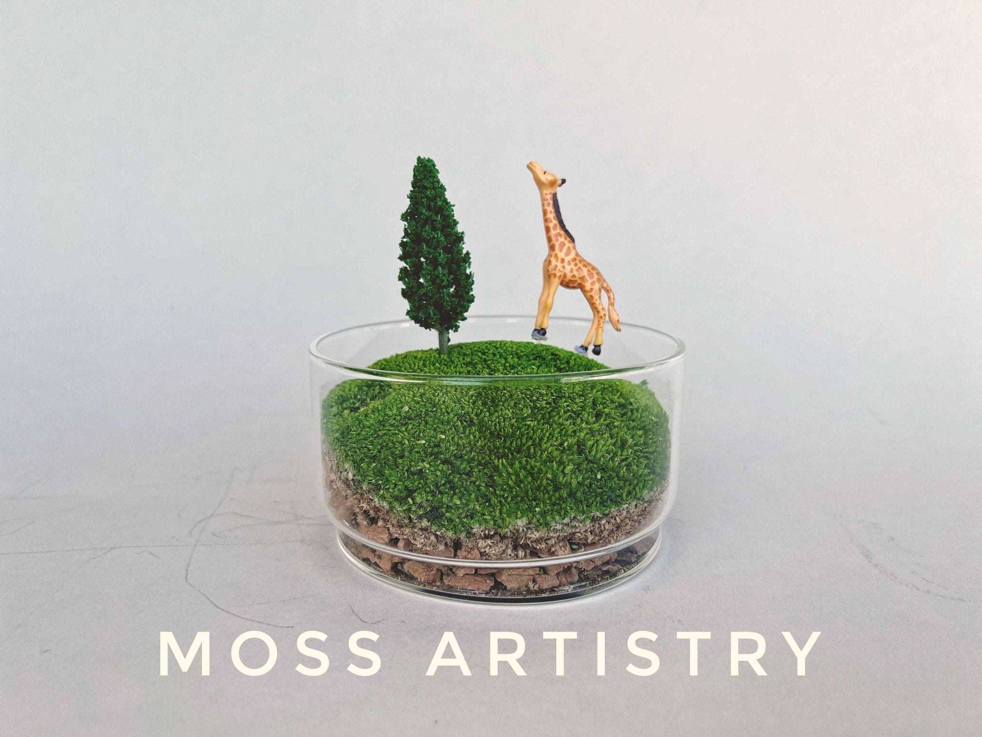 Handmade Terrarium Mini Giraffe Desktop Decoration Micro Landscape LawAre you tired of the monotony of your computer desktop? Say goodbye to boredom with our meticulously designed and handmade desktop decorations. Each product is craft