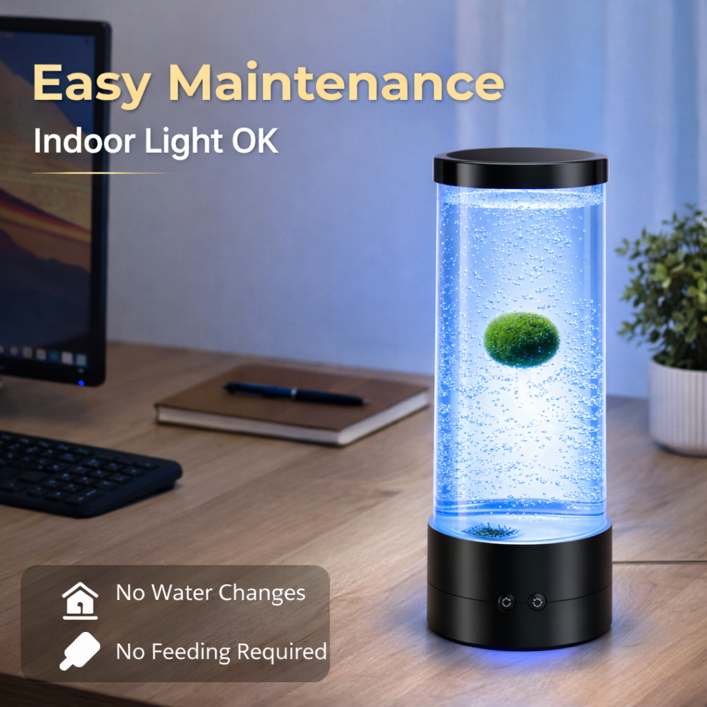 Marimo Tumbler With 1PC Large Marimo Marimo Bubble LED Aquarium Kit – Ambient Desk Light + Live Moss Ball
