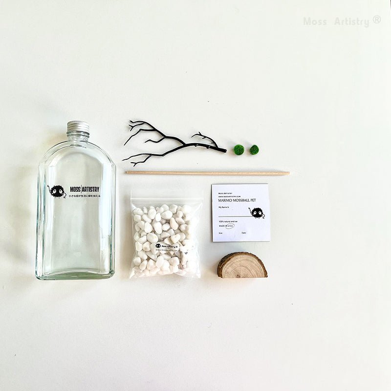 Marimo Moss Ball Aquarium Designer 8"x4" Mini Aquarium Glass TerrariumSpecification:
8"x4" Glass Terrarium * 1
1-2 cm Marimo Live Moss Ball * 2
White Pebbles Bag * 1
Name Card and wood stander * 1
Stick * 1
$3.99 Smaller Tweezer * 1
[product_description]