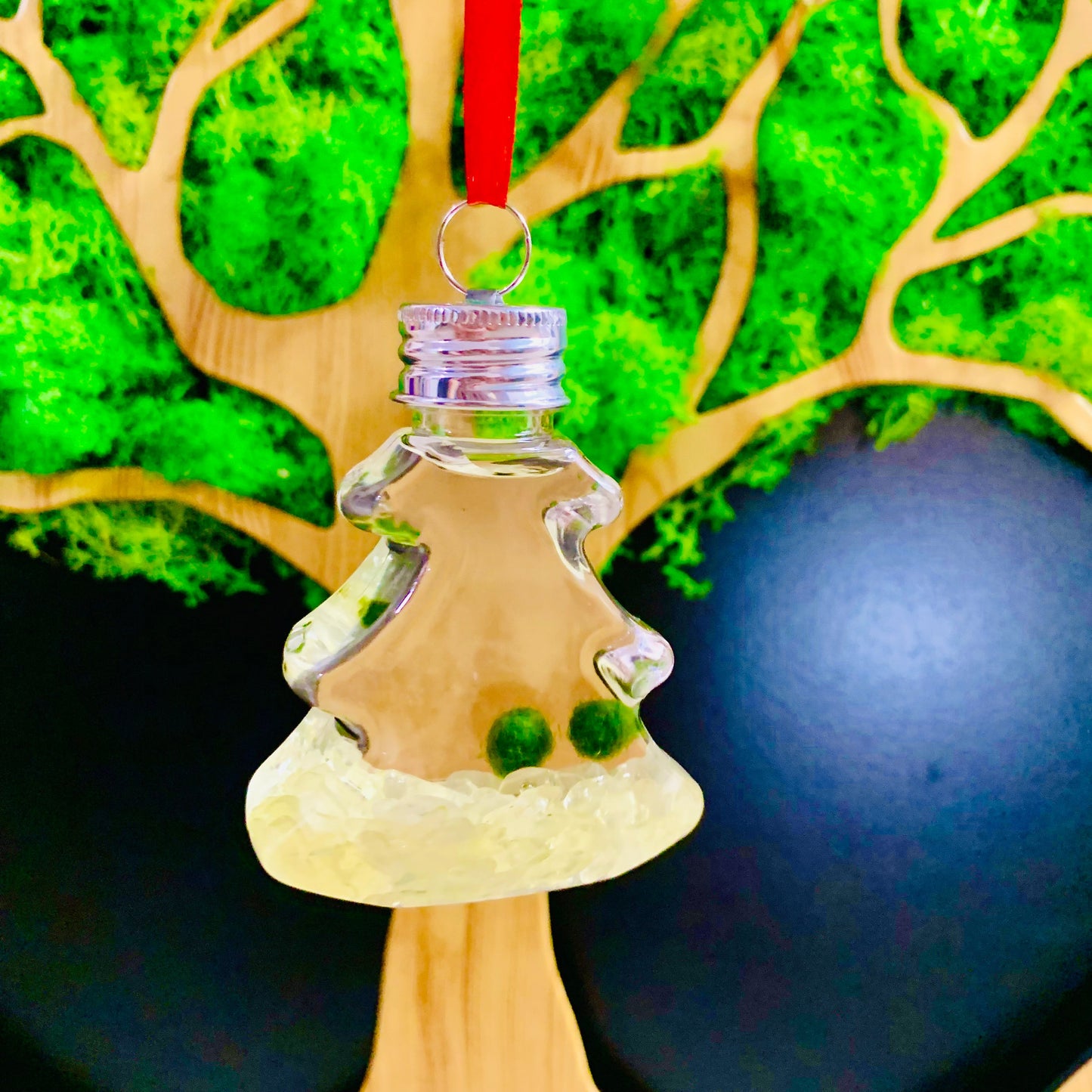 Live Moss Ball Aqua Plant Pet Ornament with Natural Yellow Citrine