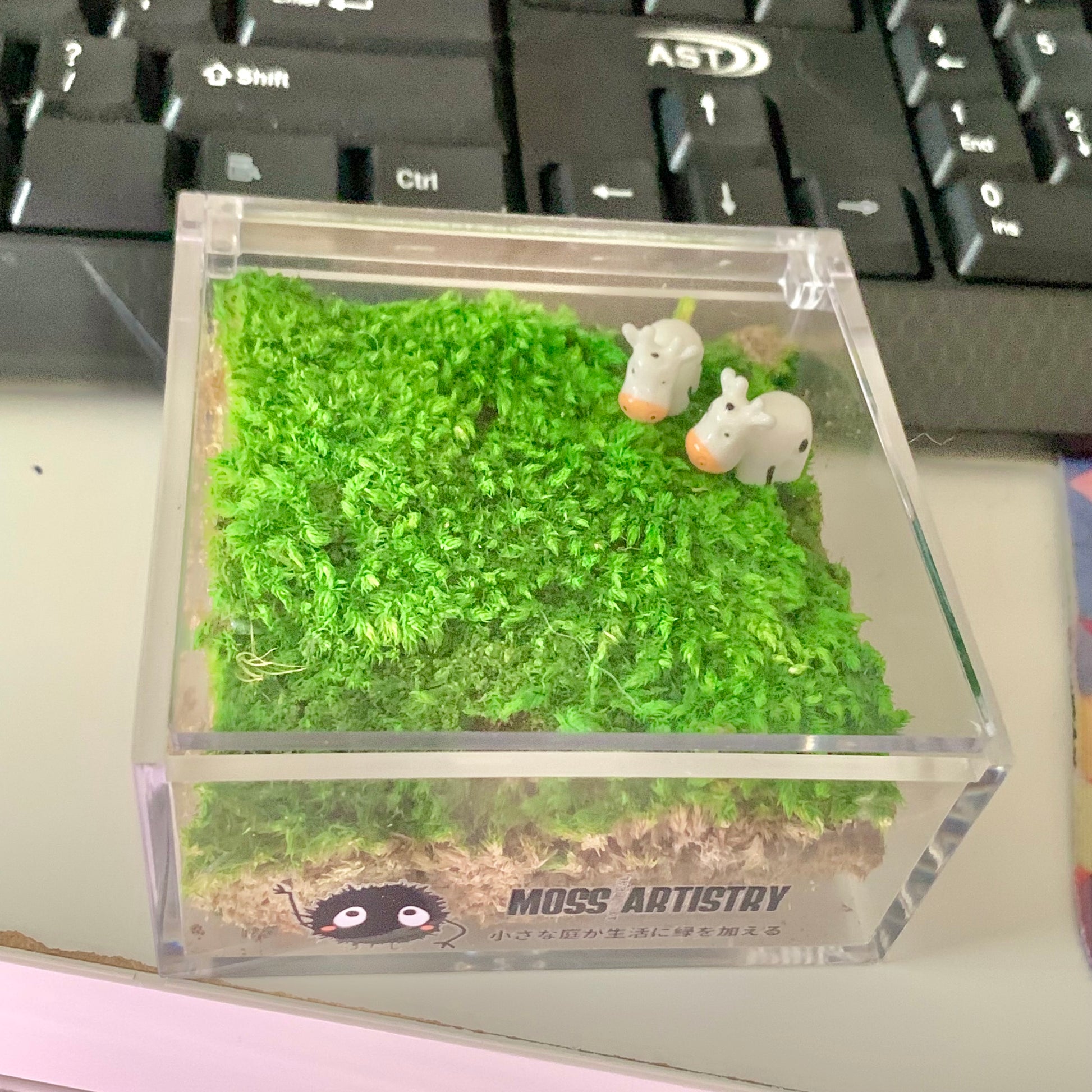 Mini Sheep Desktop Decoration Micro Landscape Lawn Handmade Arcylic Pr
Revamp Your Workspace with Handcrafted Desktop Decorations
Break the monotony of your daily routine with our Mini Sheep Desktop Decoration Micro Landscape Lawn Hand